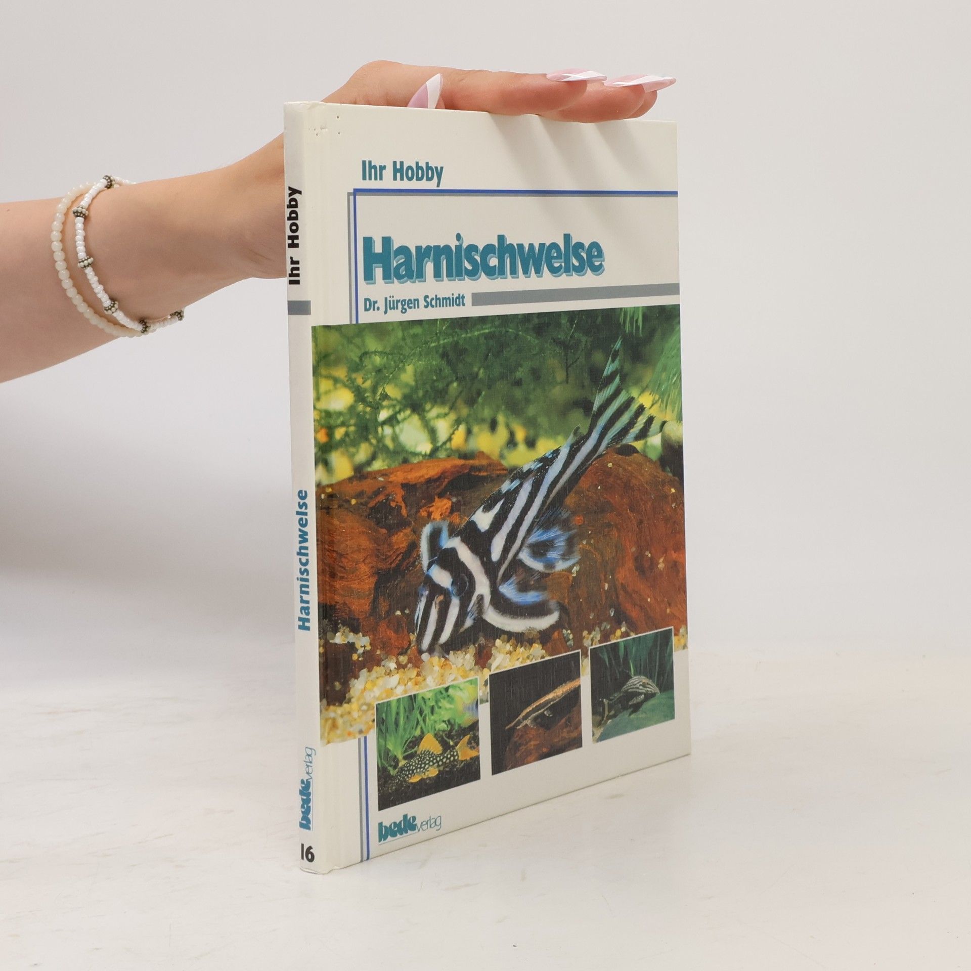 Harnischwelse