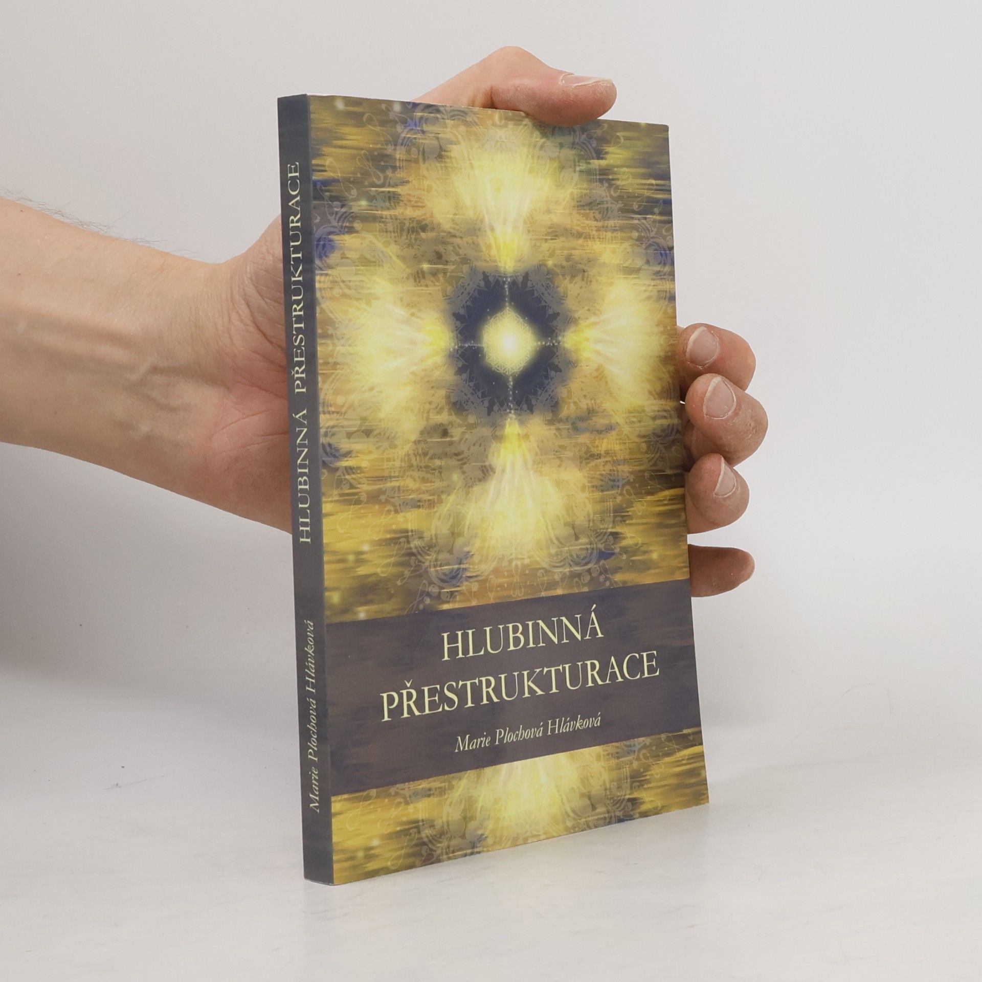 Marie Plochová Hlávková Hlubinná přestrukturace