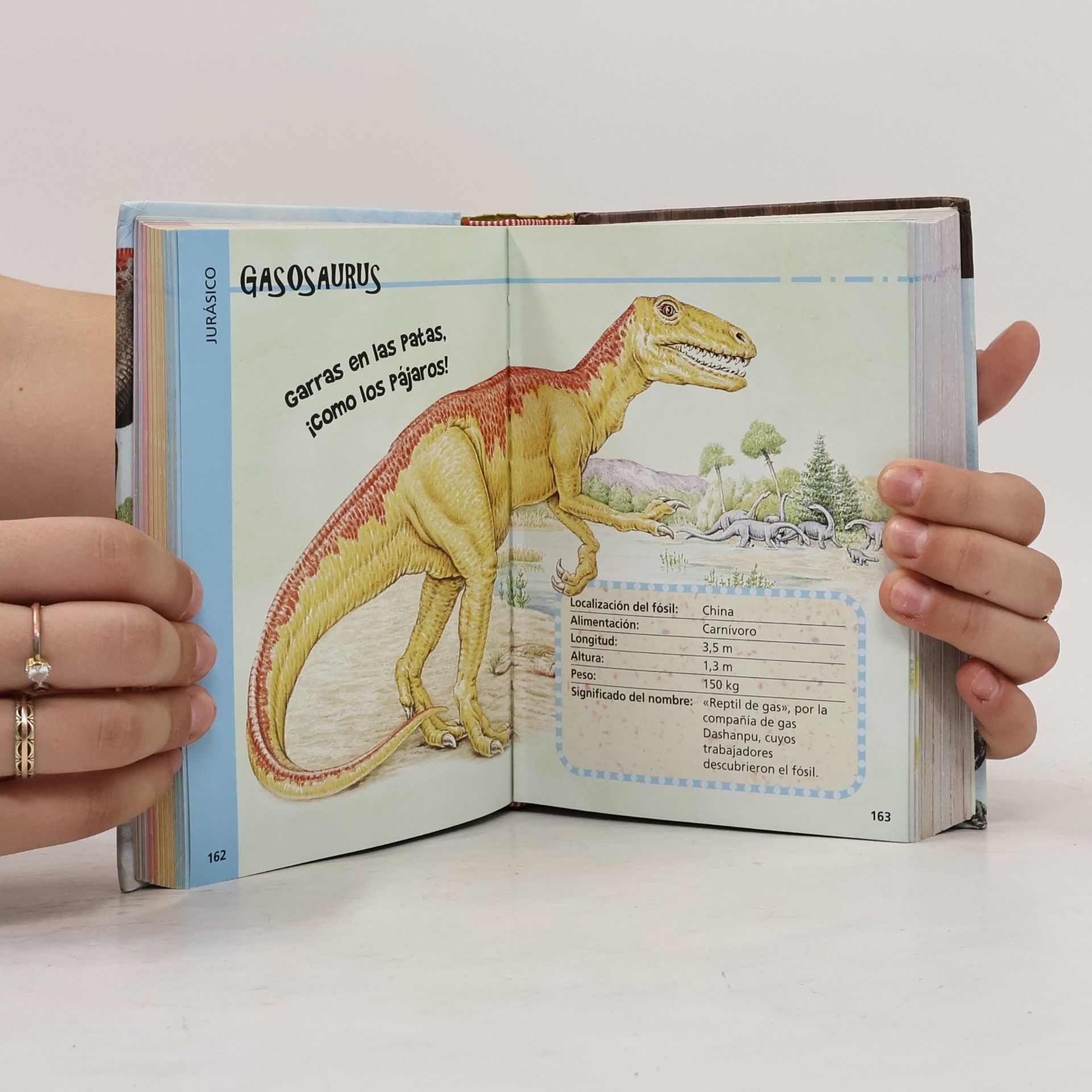 Dinosaurios