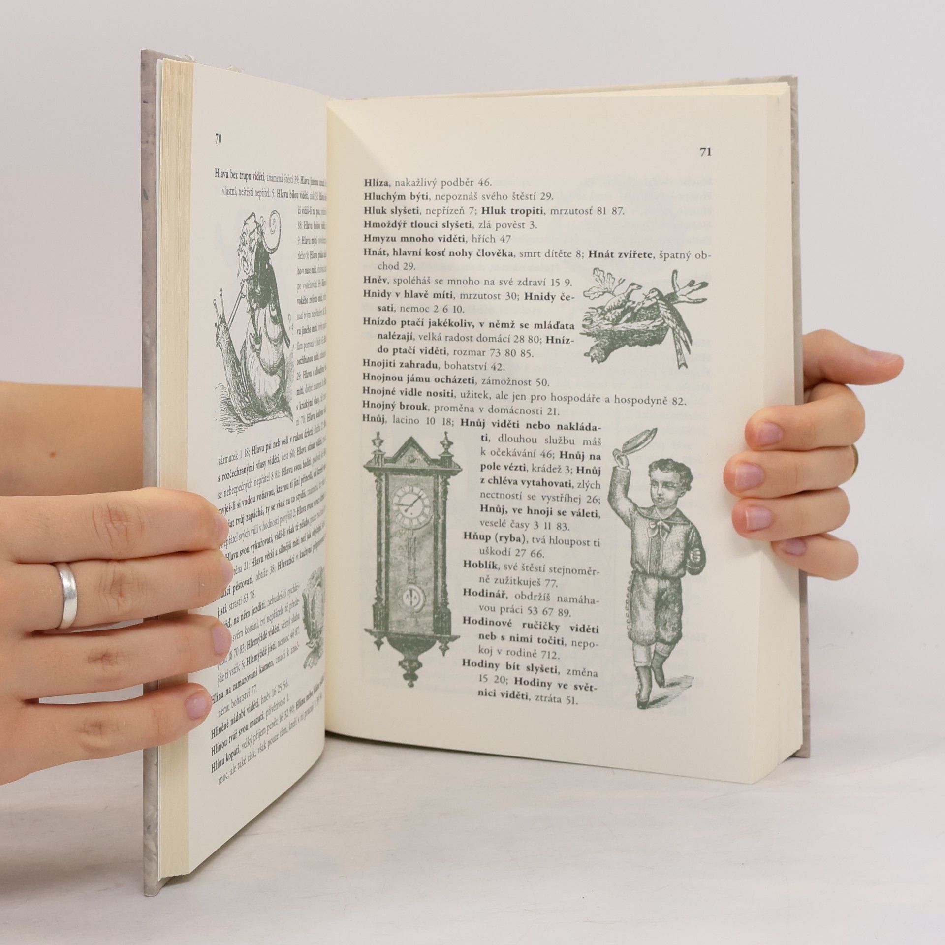 Autores varios Storchův největší obrázkový egyptsko-perský a chaldejský snář
