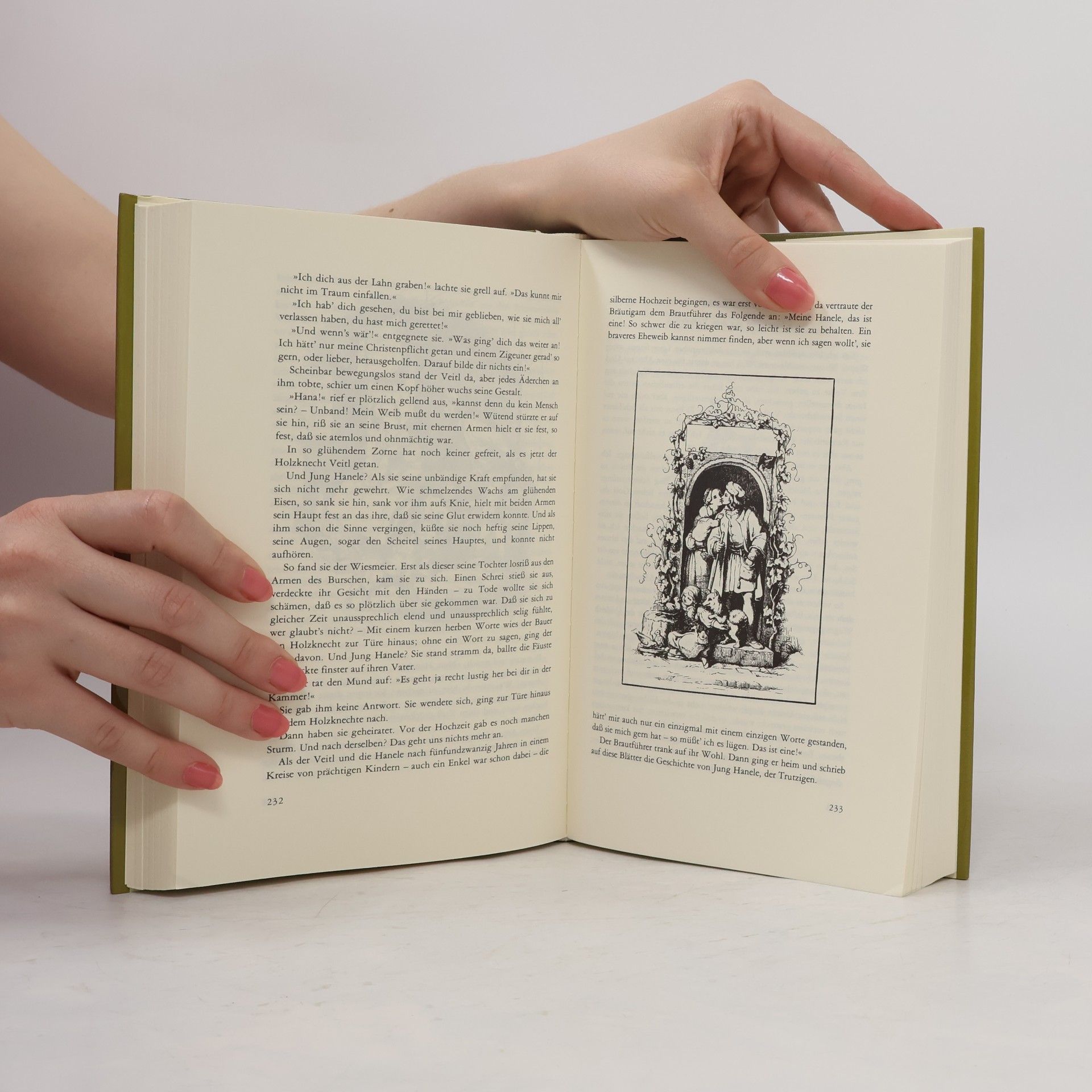 Peter Rosegger Das grosse Rosegger Hausbuch