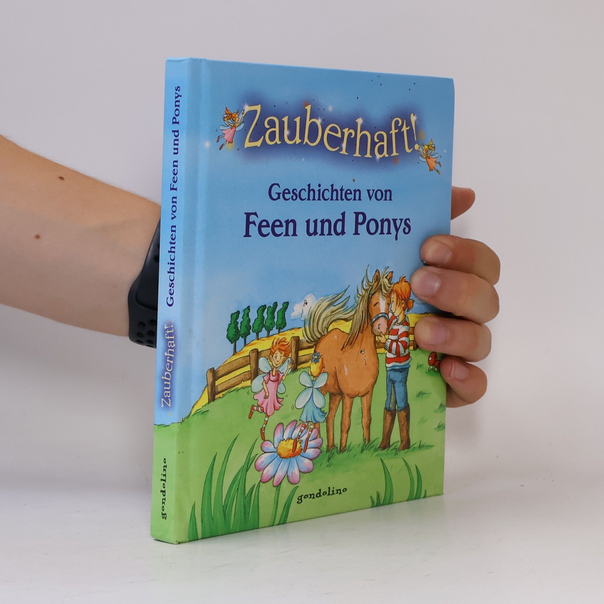 Petra Theissen Zauberhaft! - Geschichten von Feen und Ponys
