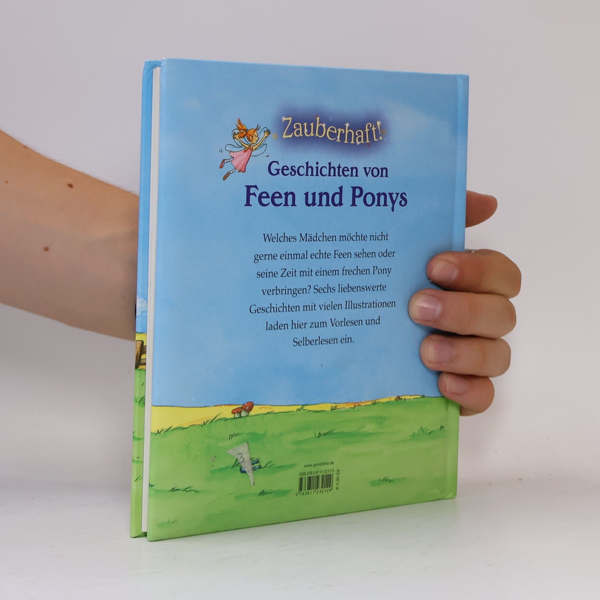 Petra Theissen Zauberhaft! - Geschichten von Feen und Ponys