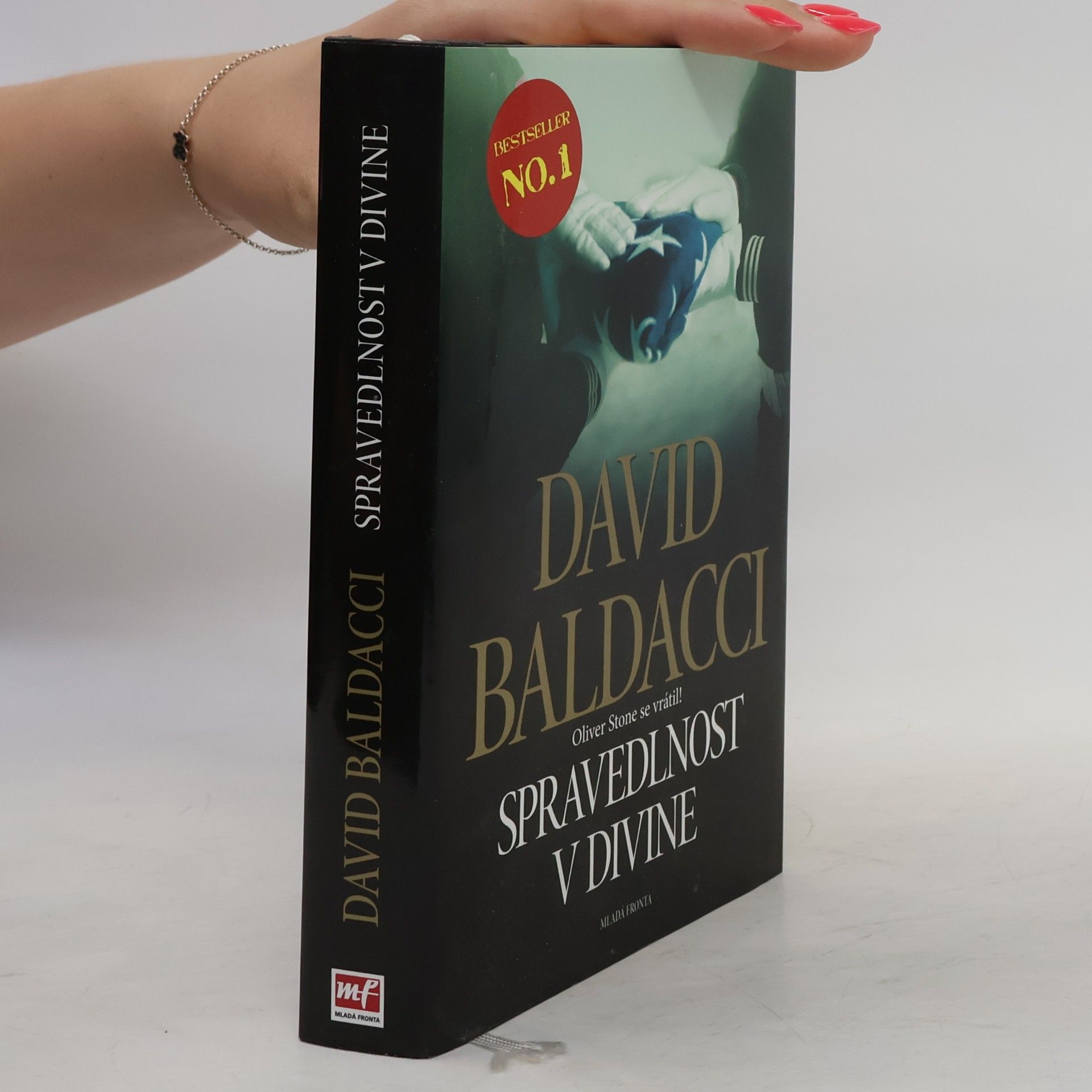 David Baldacci Spravedlnost v Divine