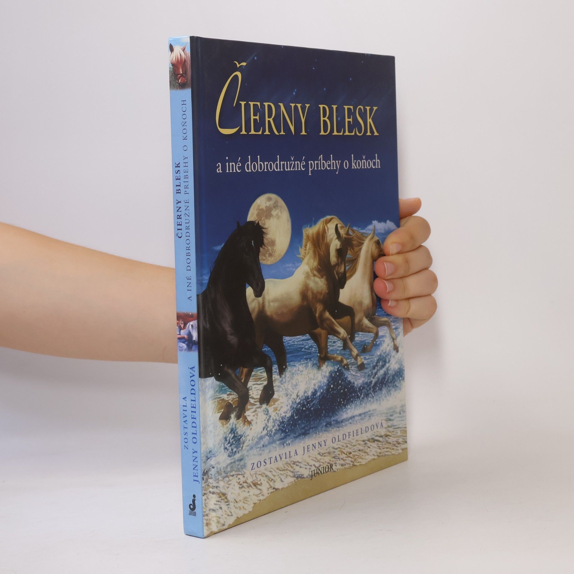 Jenny Oldfield Čierny blesk a iné dobrodružné príbehy o koňoch