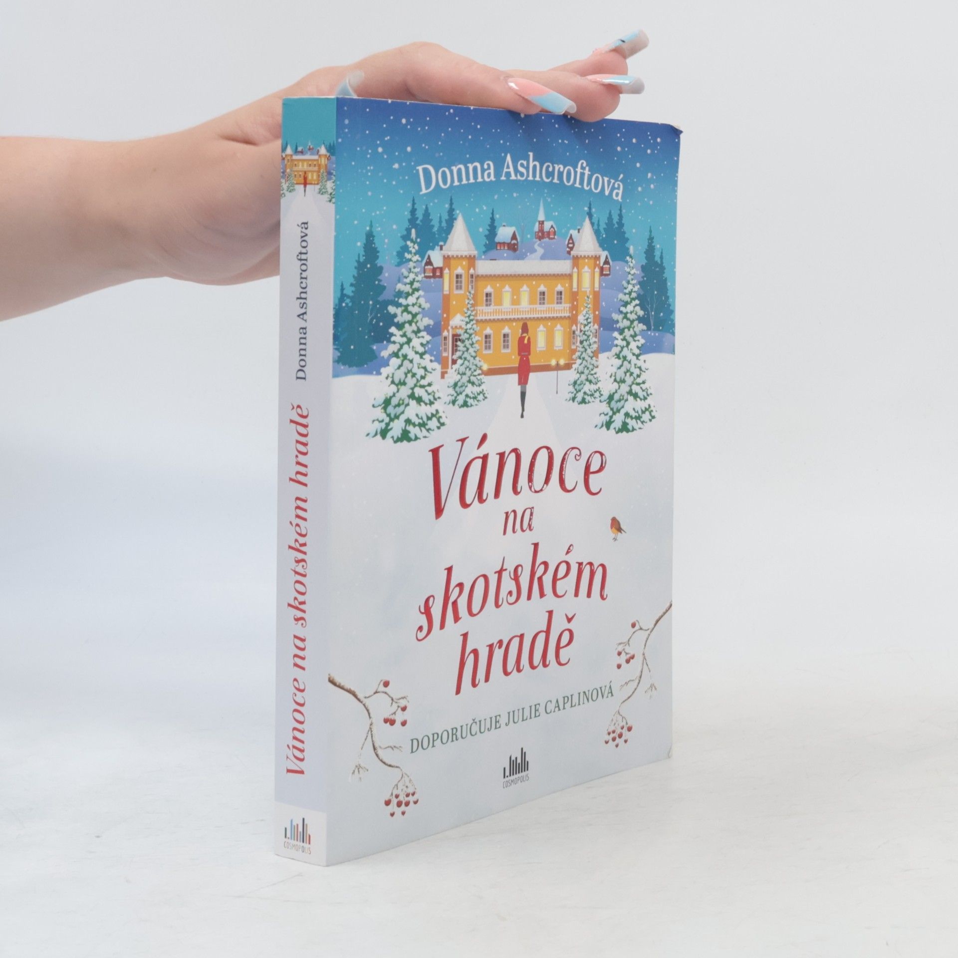 Donna Ashcroft Vánoce na skotském hradě