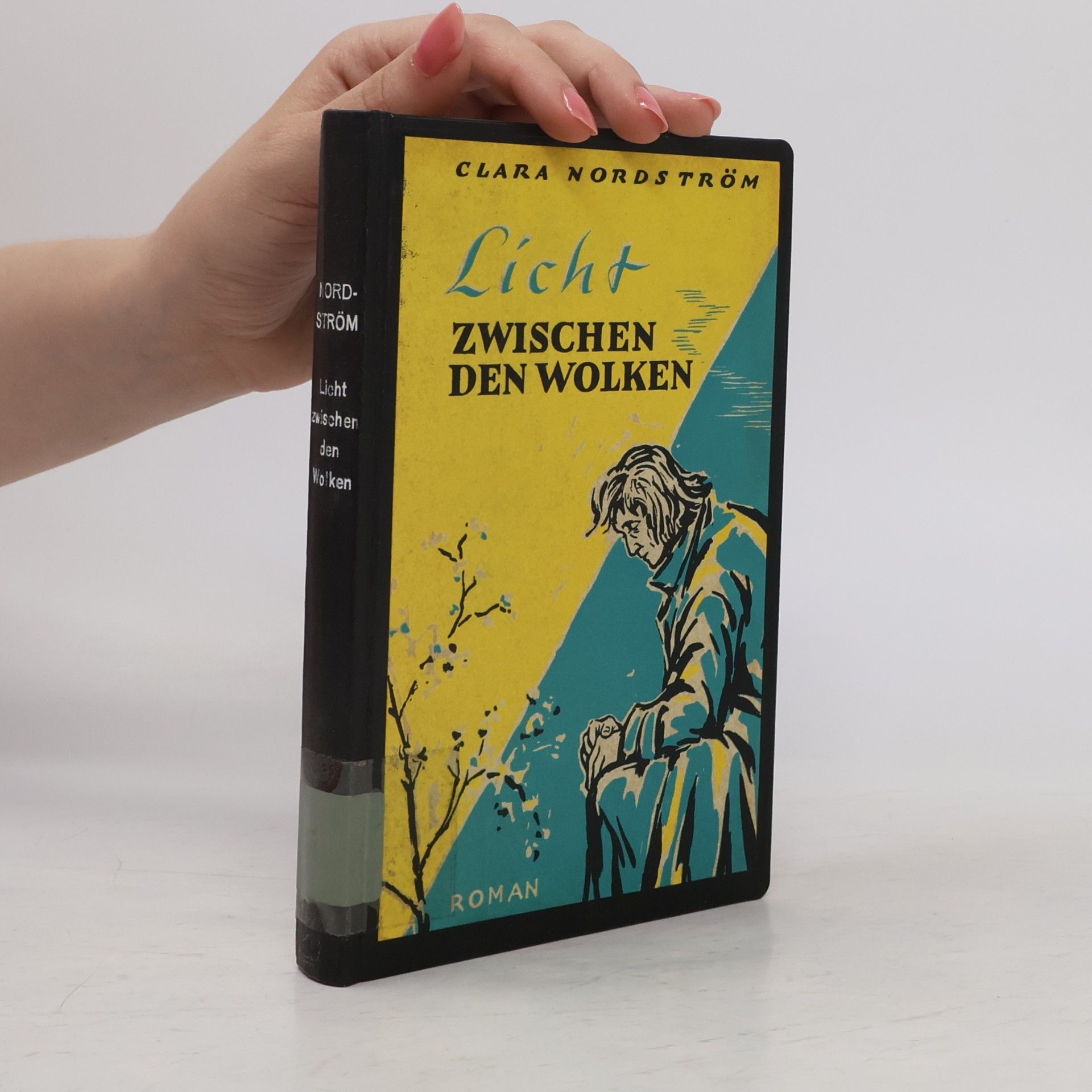 Clara Nordström Licht zwischen den Wolken