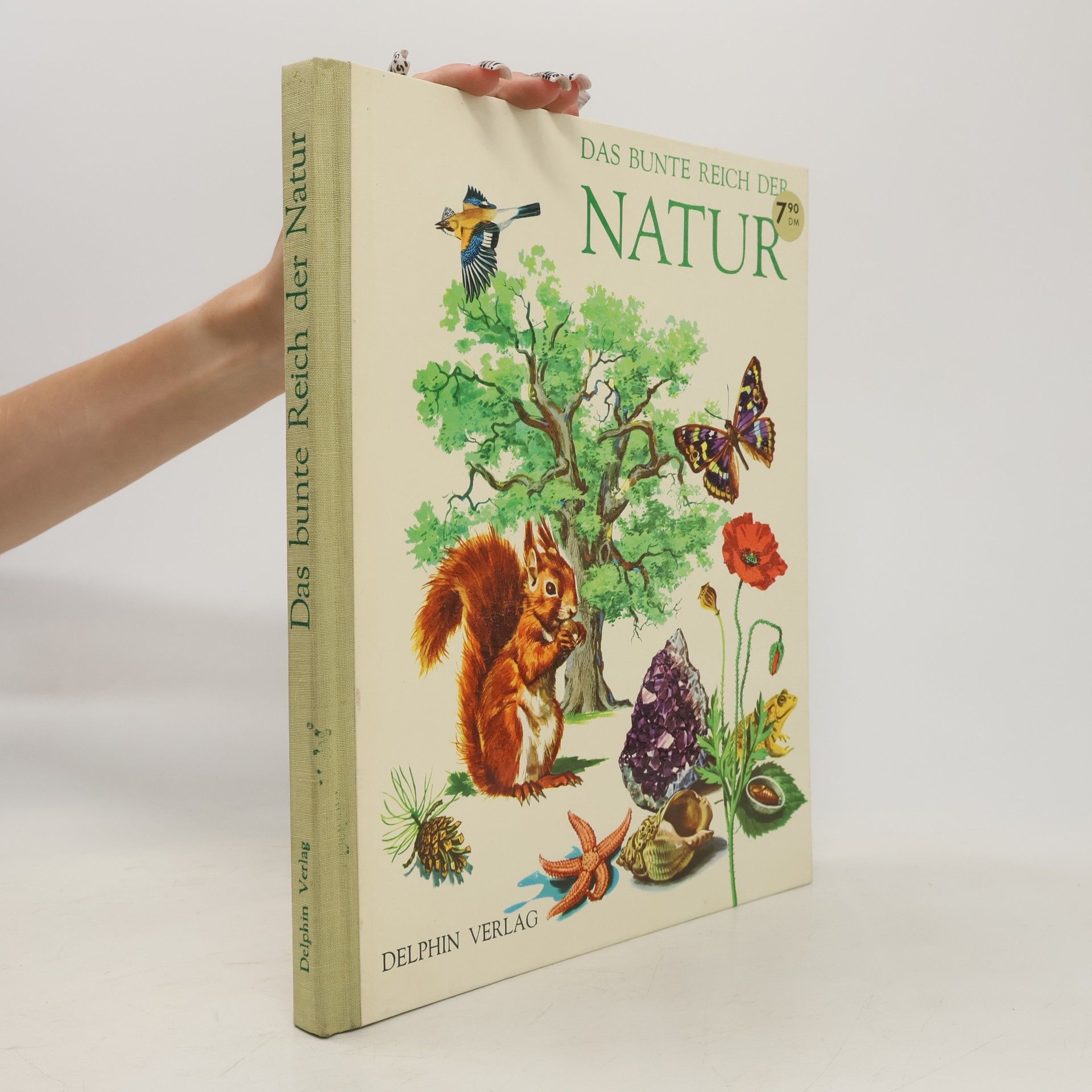 Autorenkollektiv Das bunte reich der natur