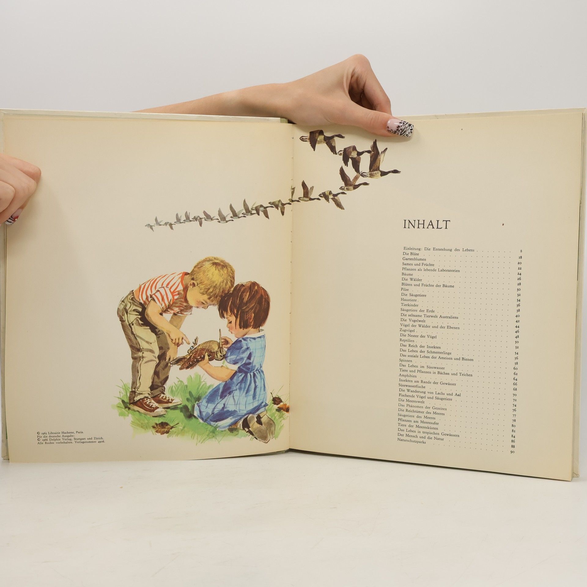 Autorenkollektiv Das bunte reich der natur