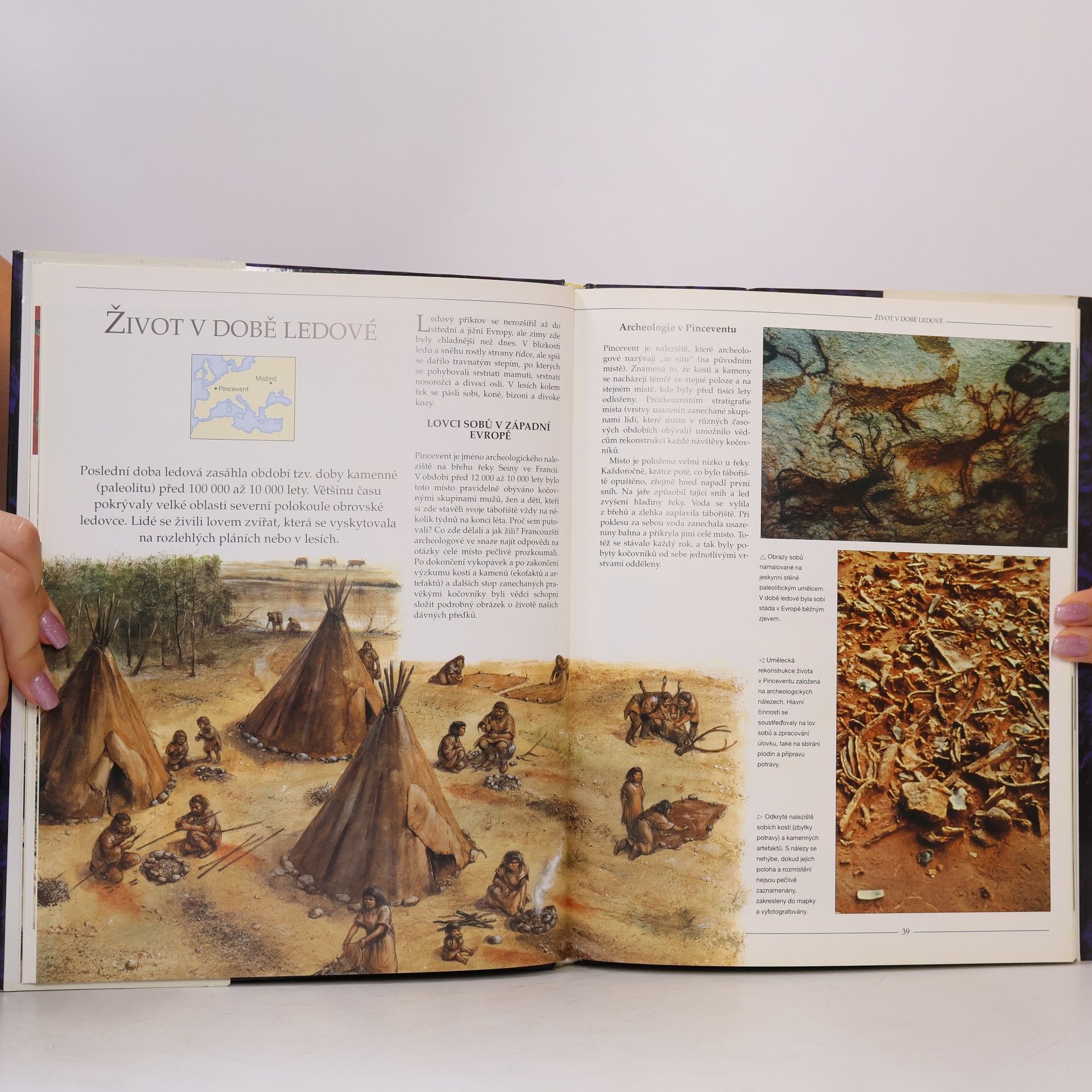 Irena Klímová Archeologie