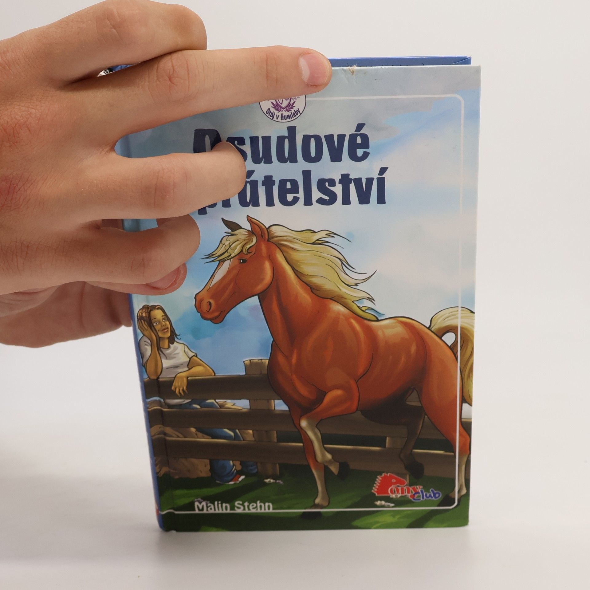 Malin Stehn Osudové přátelství