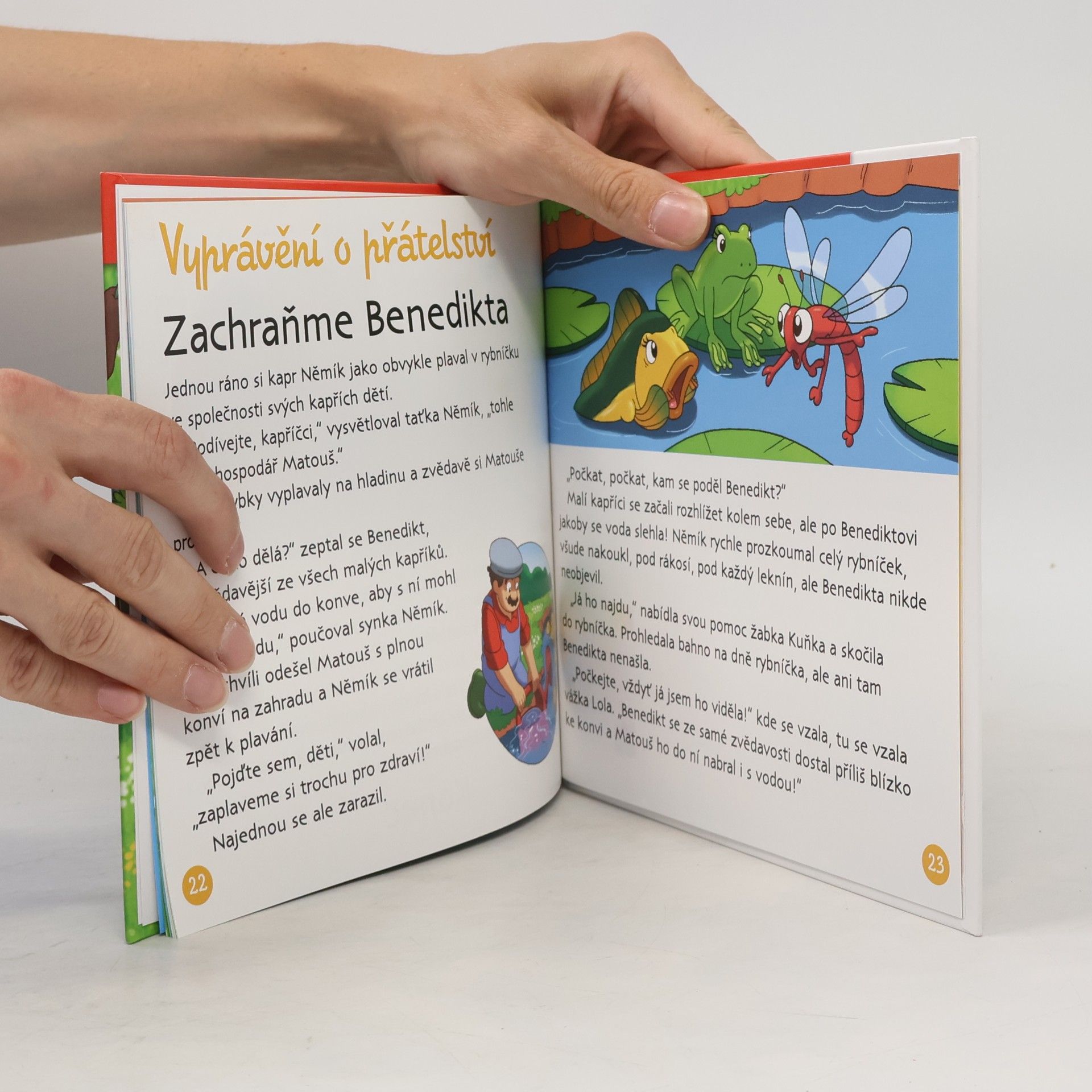 Autorenkollektiv Na polích a lukách 31. U rybníka