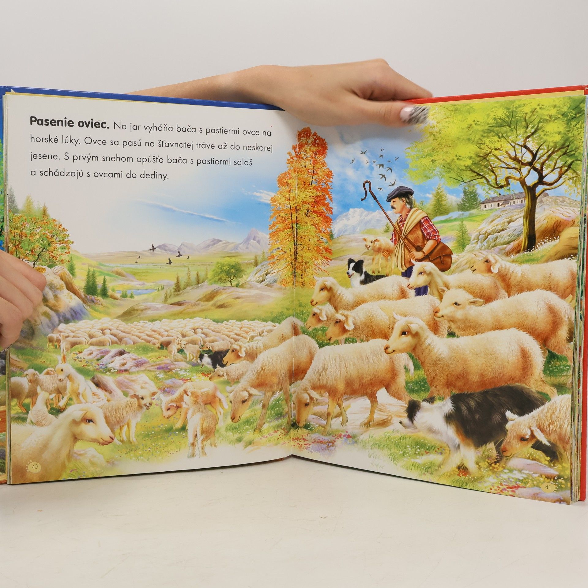 Autorenkollektiv Farma a život na vidieku