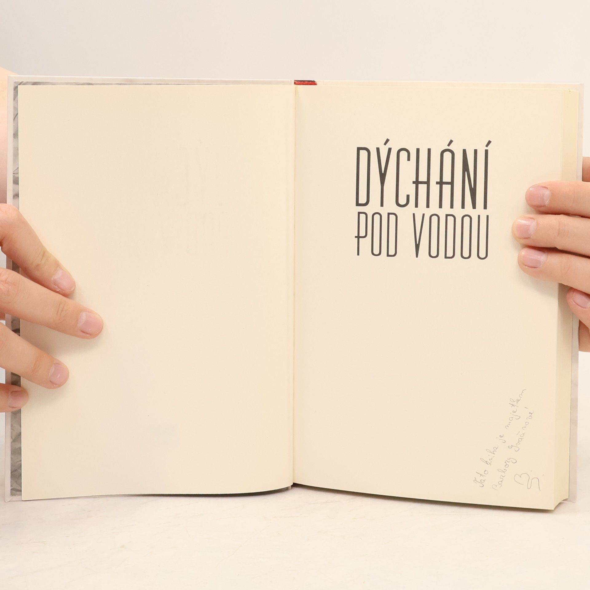 Alex Flinn Dýchání pod vodou
