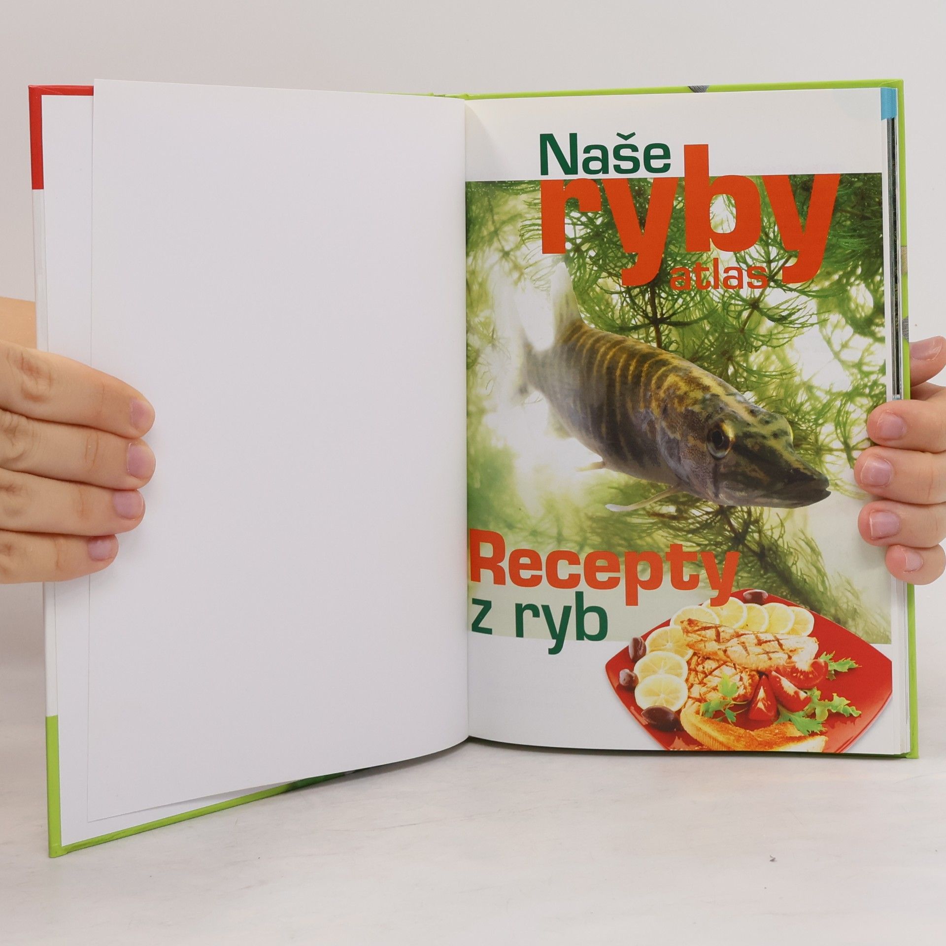Stanislav Lusk Edice Receptář. Naše ryby atlas. Recepty z ryb