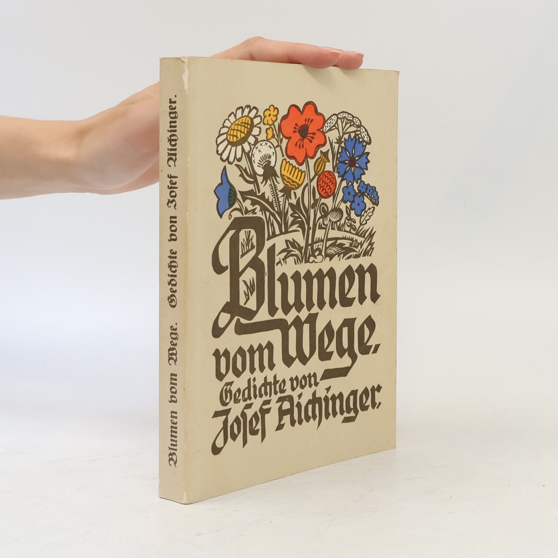 Josef Aichinger Blumen vom Wege