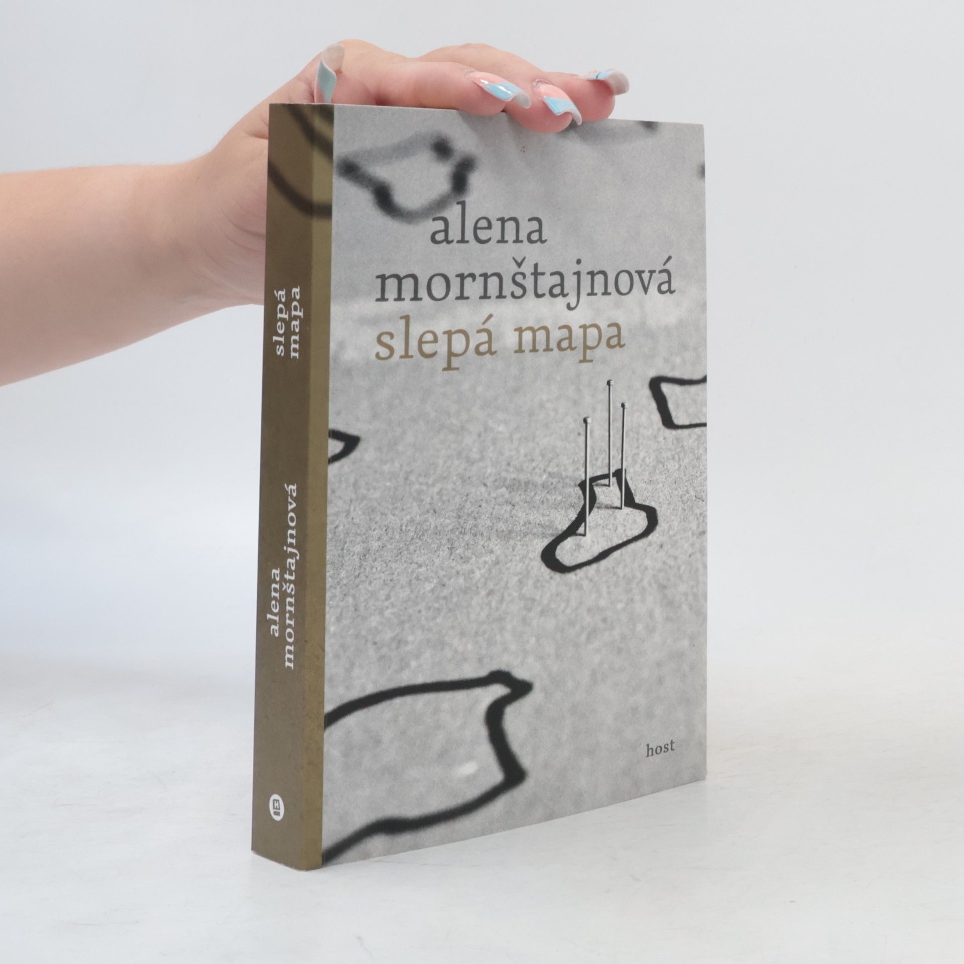 Alena Mornštajnová Slepá mapa