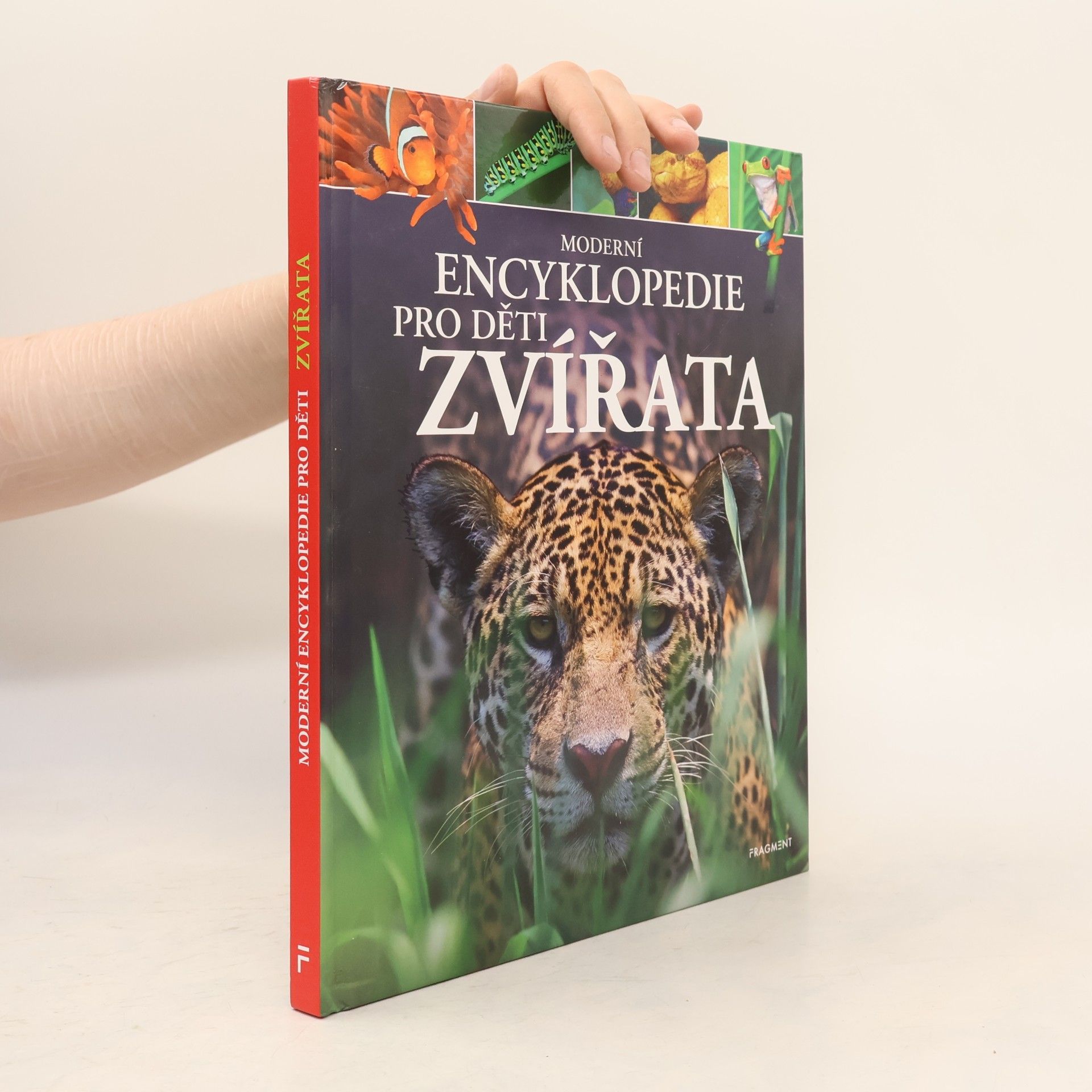 Michael Leach Moderní encyklopedie pro děti - Zvířata