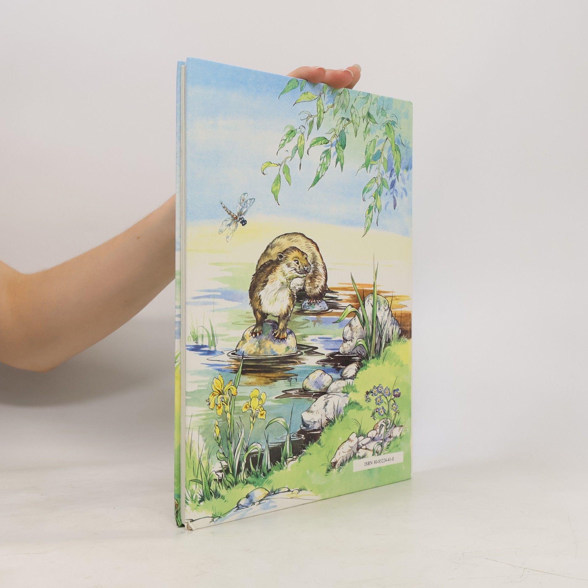 Kenneth Grahame Rozprávky spod vŕby
