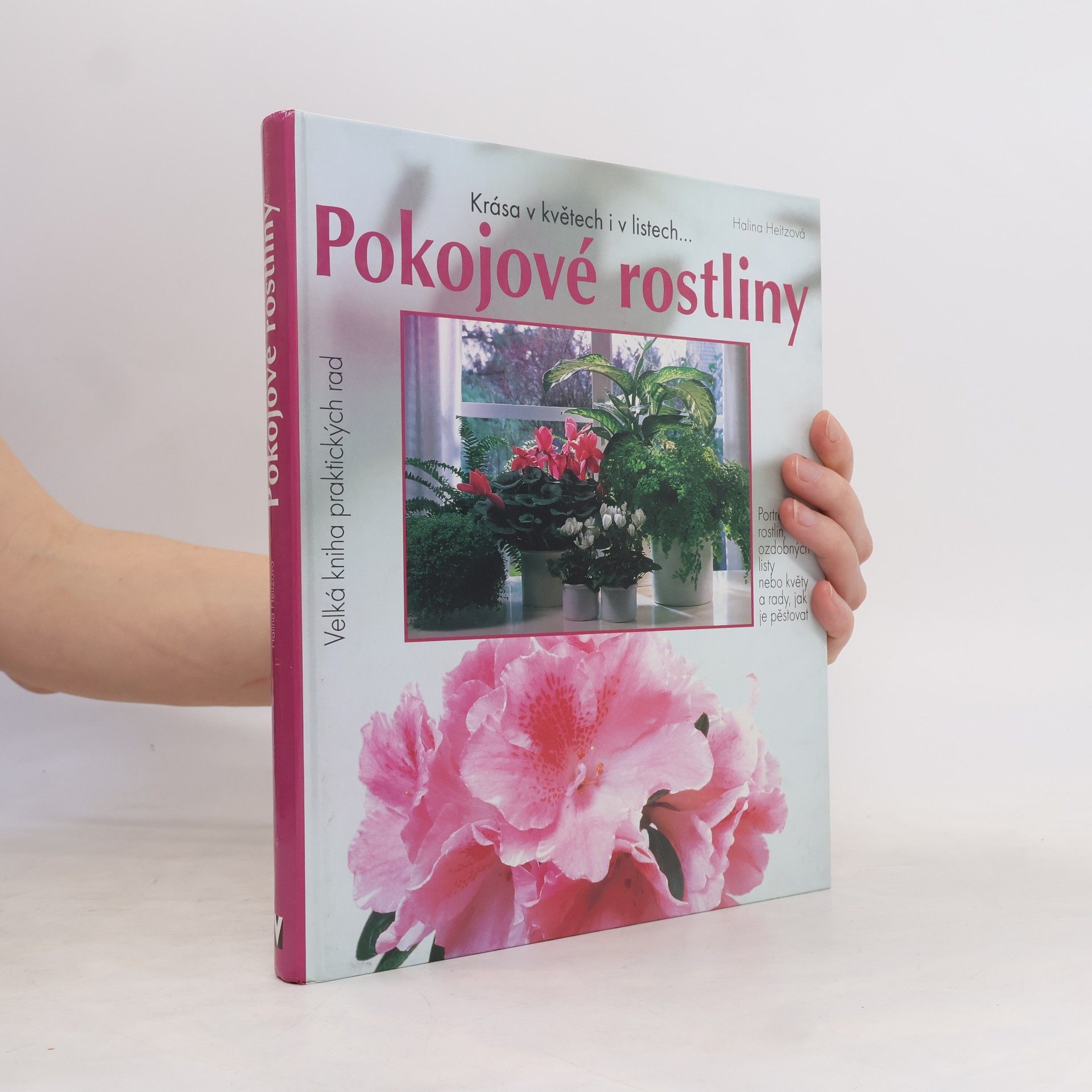 Halina Heitz Pokojové rostliny