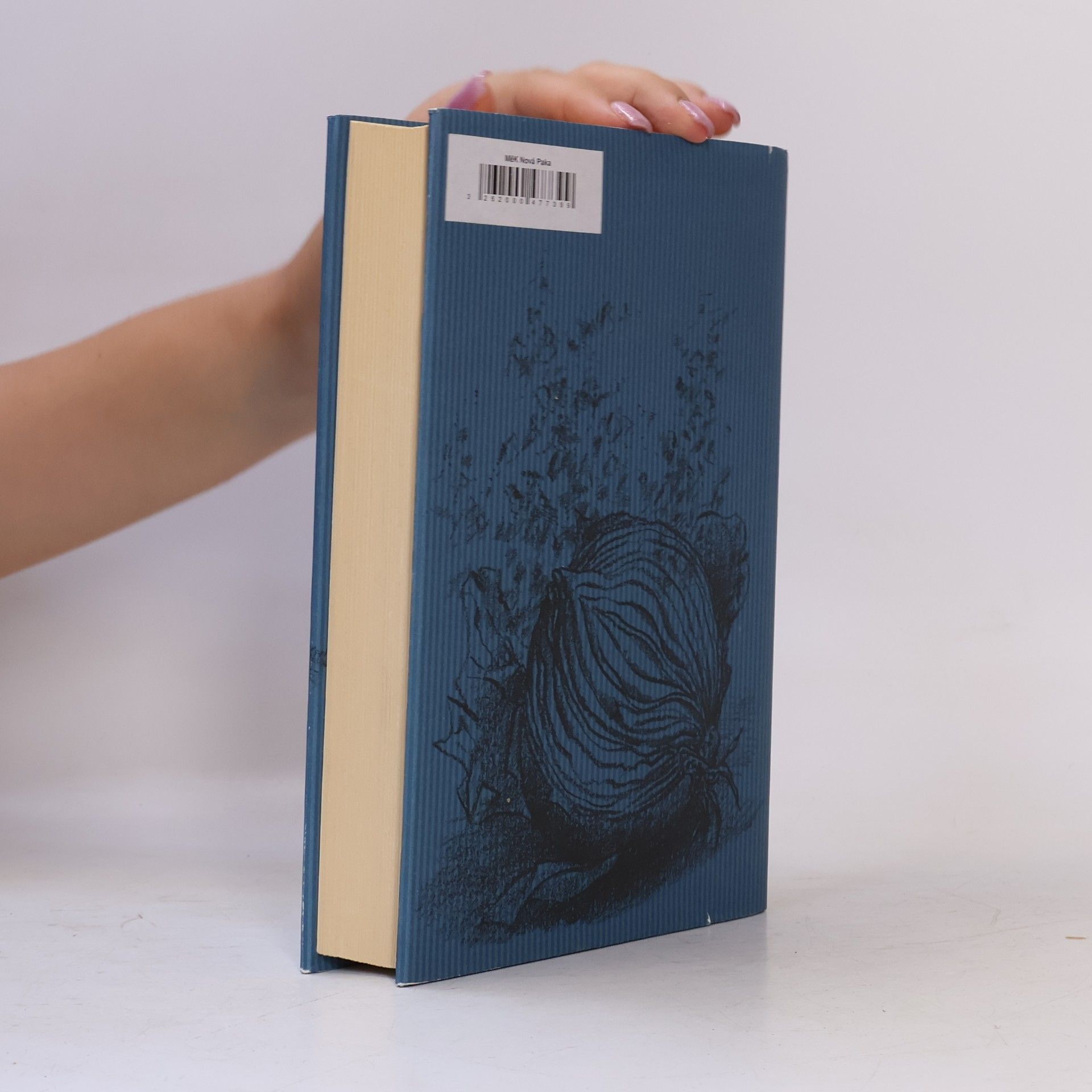 Günter Grass Při loupání cibule