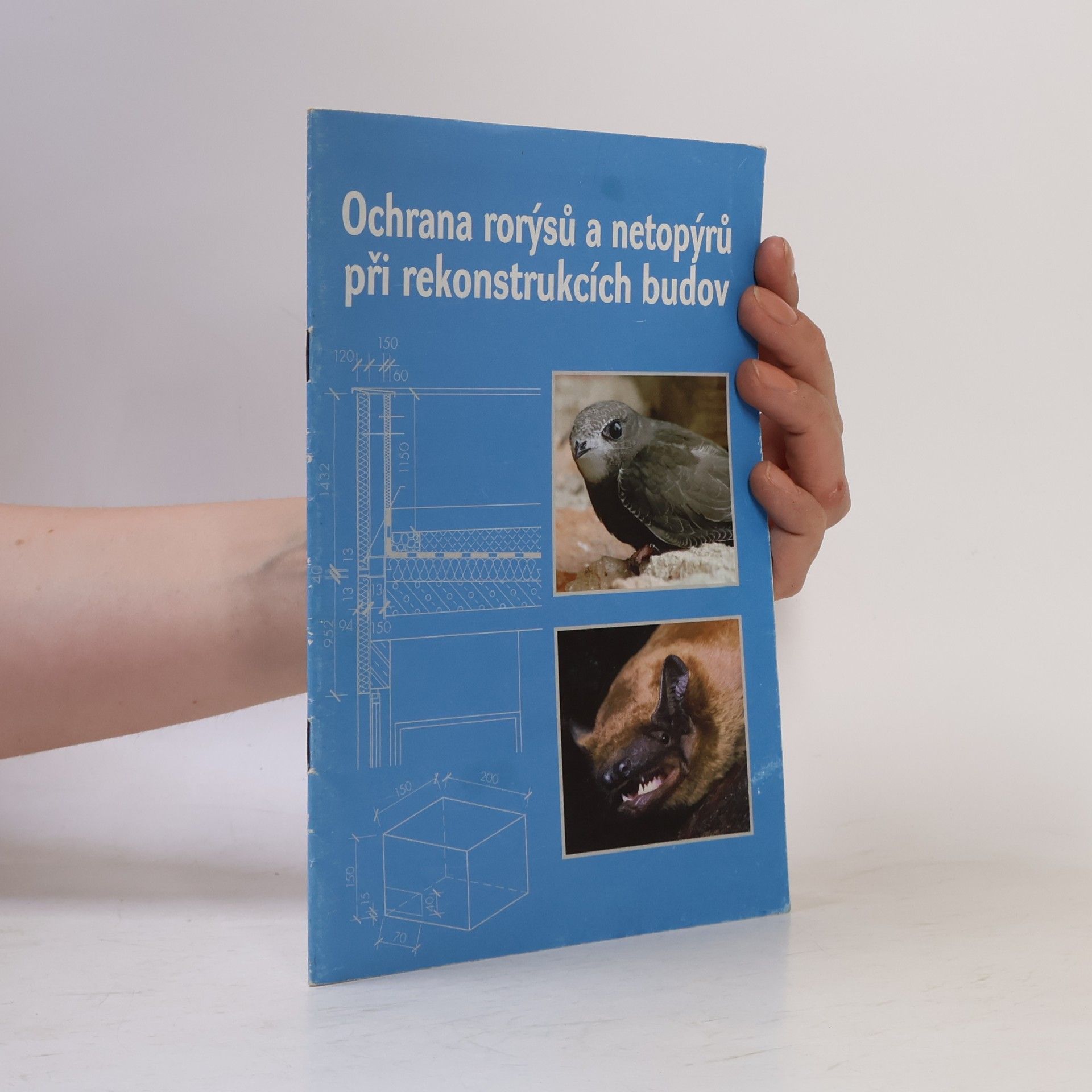 Ochrana rorýsů a netopýrů při rekonstrukcích budov