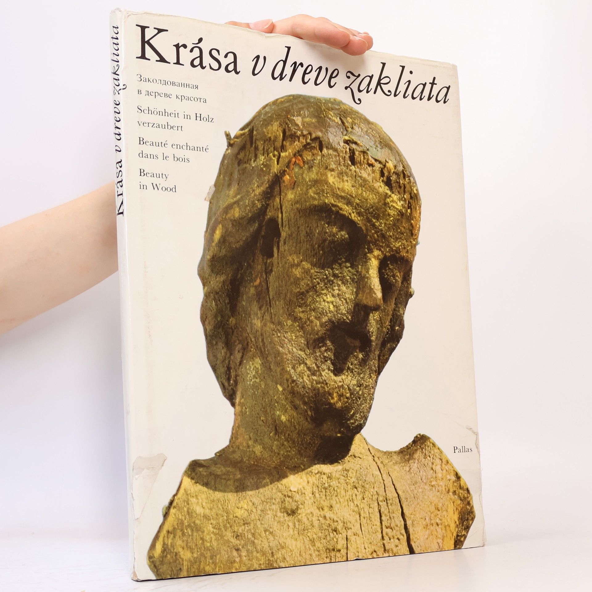 Krása v dreve zakliata