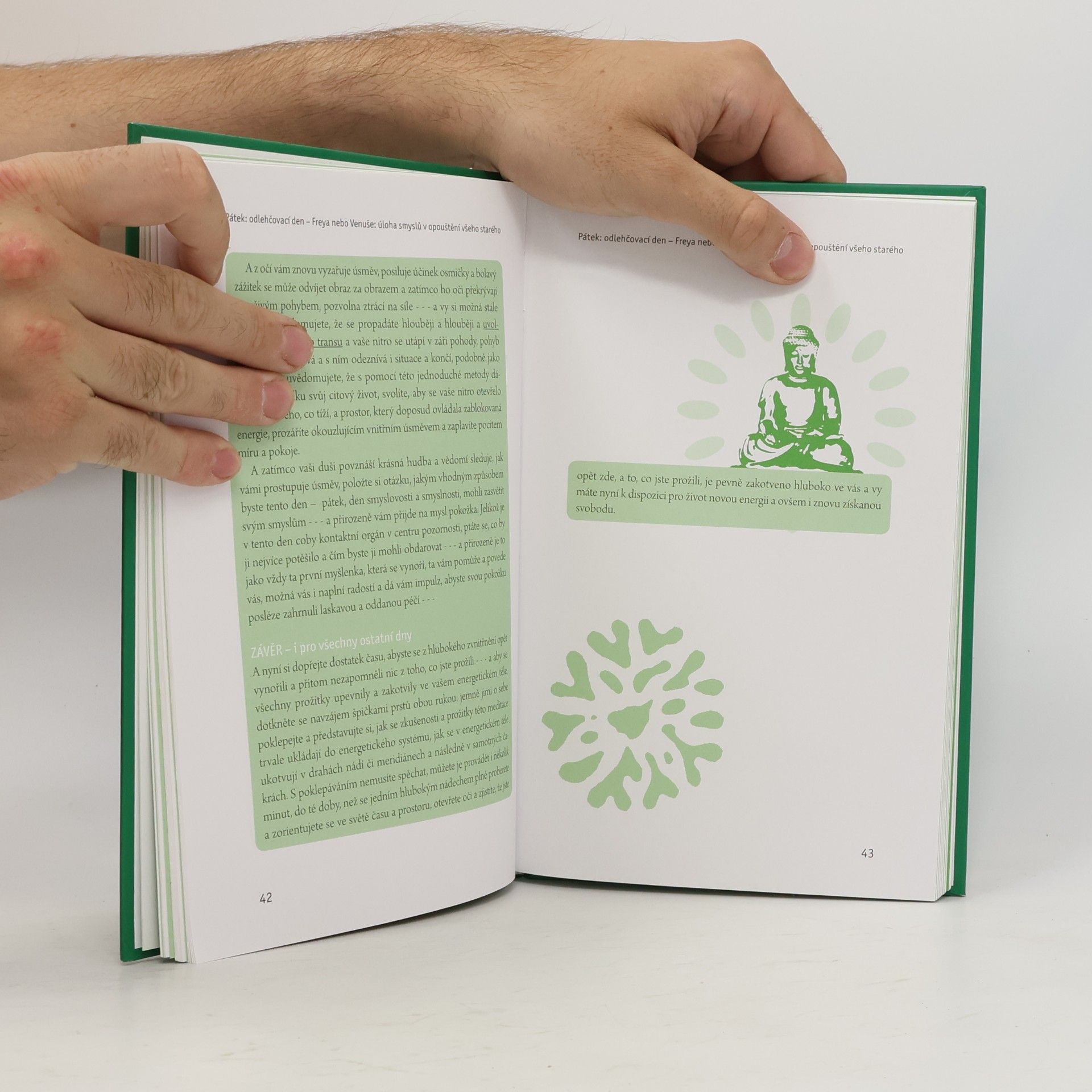 Ruediger Dahlke Půst plný pohody. Podle sedmi archetypů dnů v týdnu. S meditacemi a relaxačním cvičením