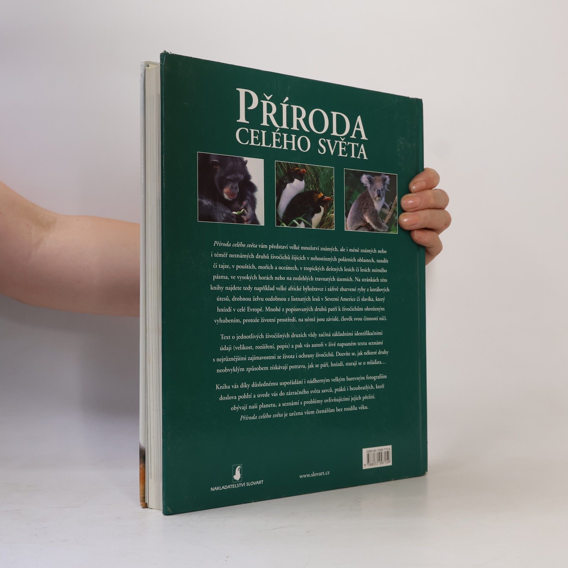 Mike Briggs Příroda celého světa