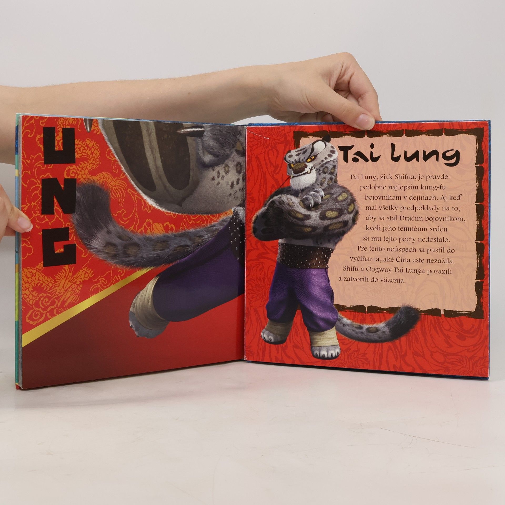 Kolektiv autorů Kung fu panda - kniha faktov