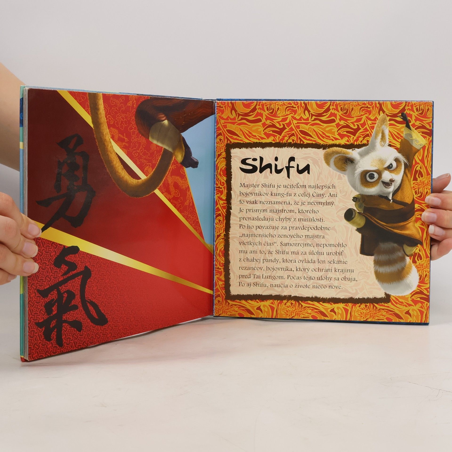 Kolektiv autorů Kung fu panda - kniha faktov