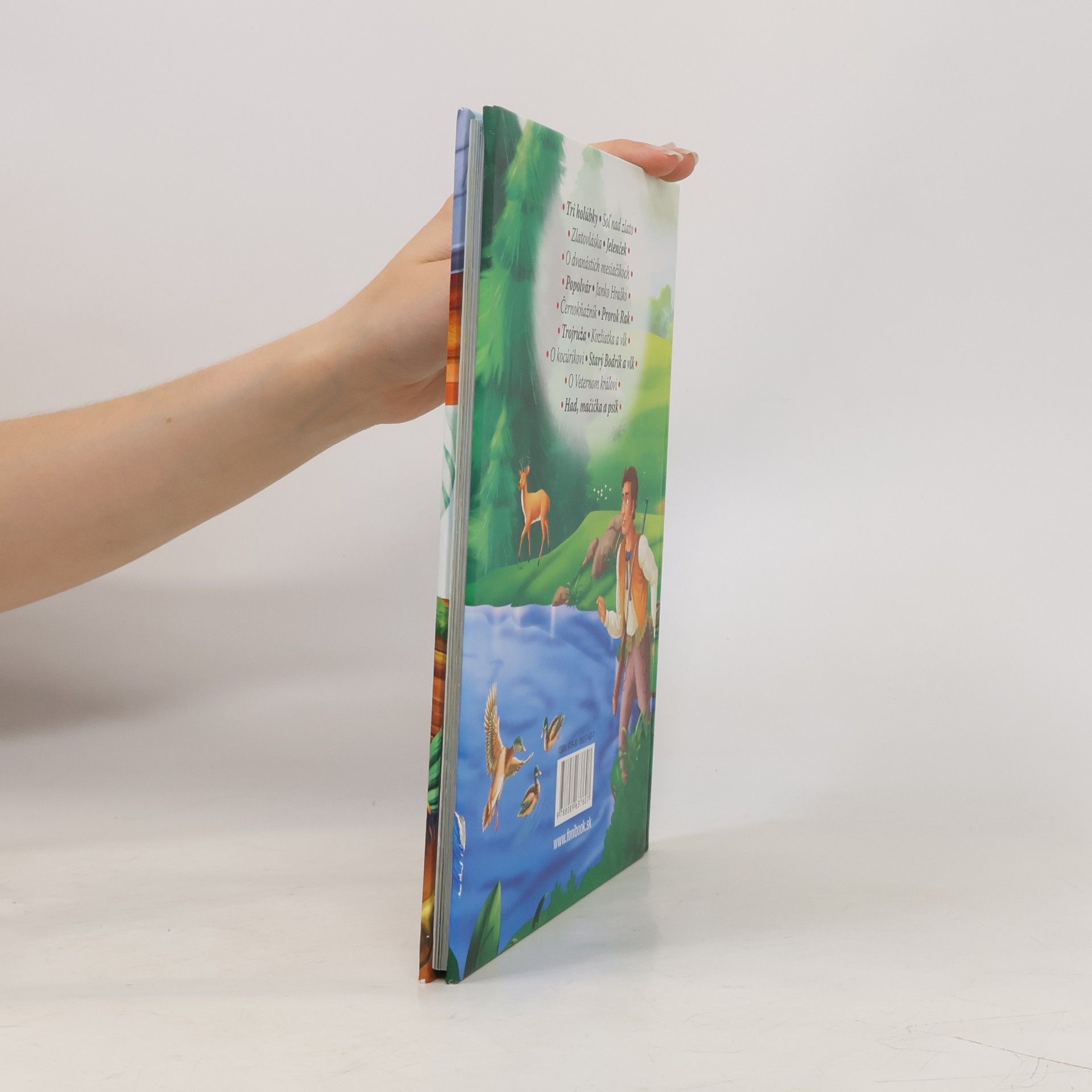 Autores varios Slovenské rozprávky od Pavla Dobšinského