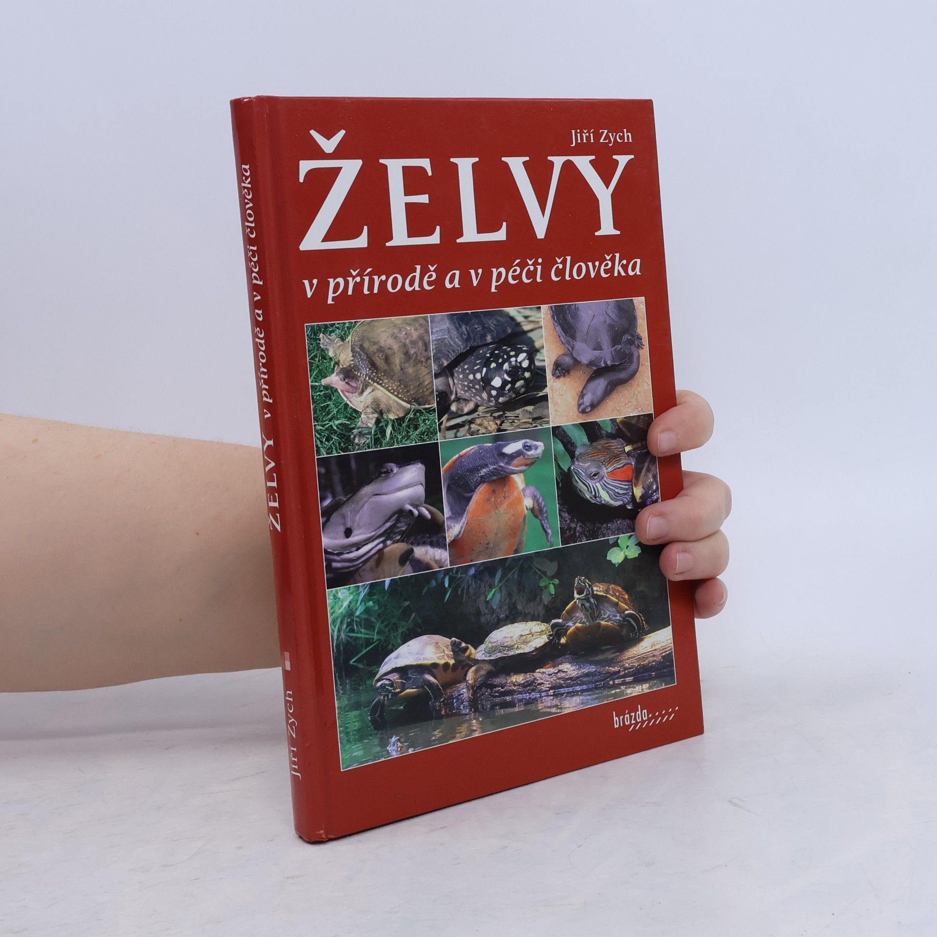 Jiří Zych Želvy v přírodě a v péči člověka