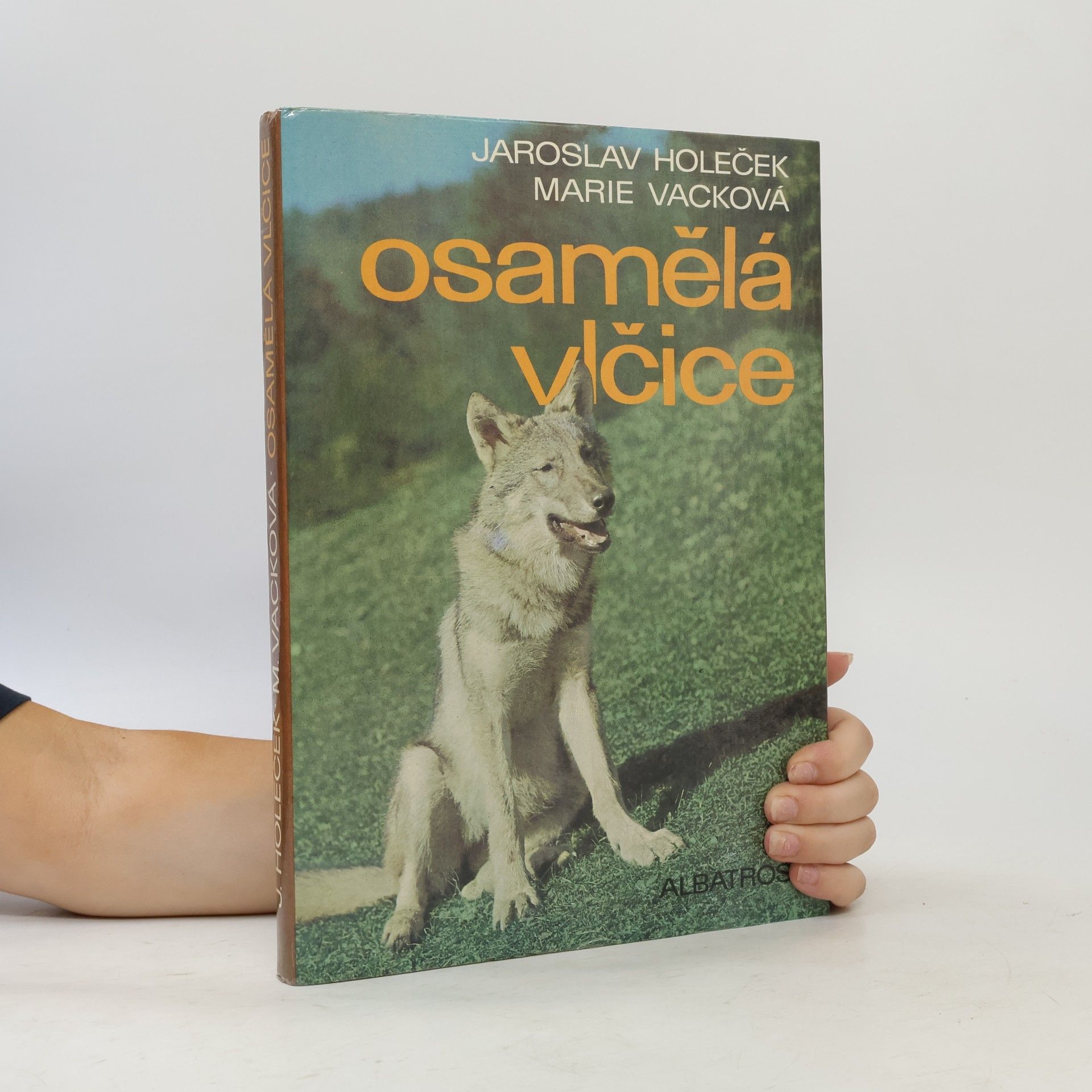 Jaroslav Holeček Osamělá vlčice