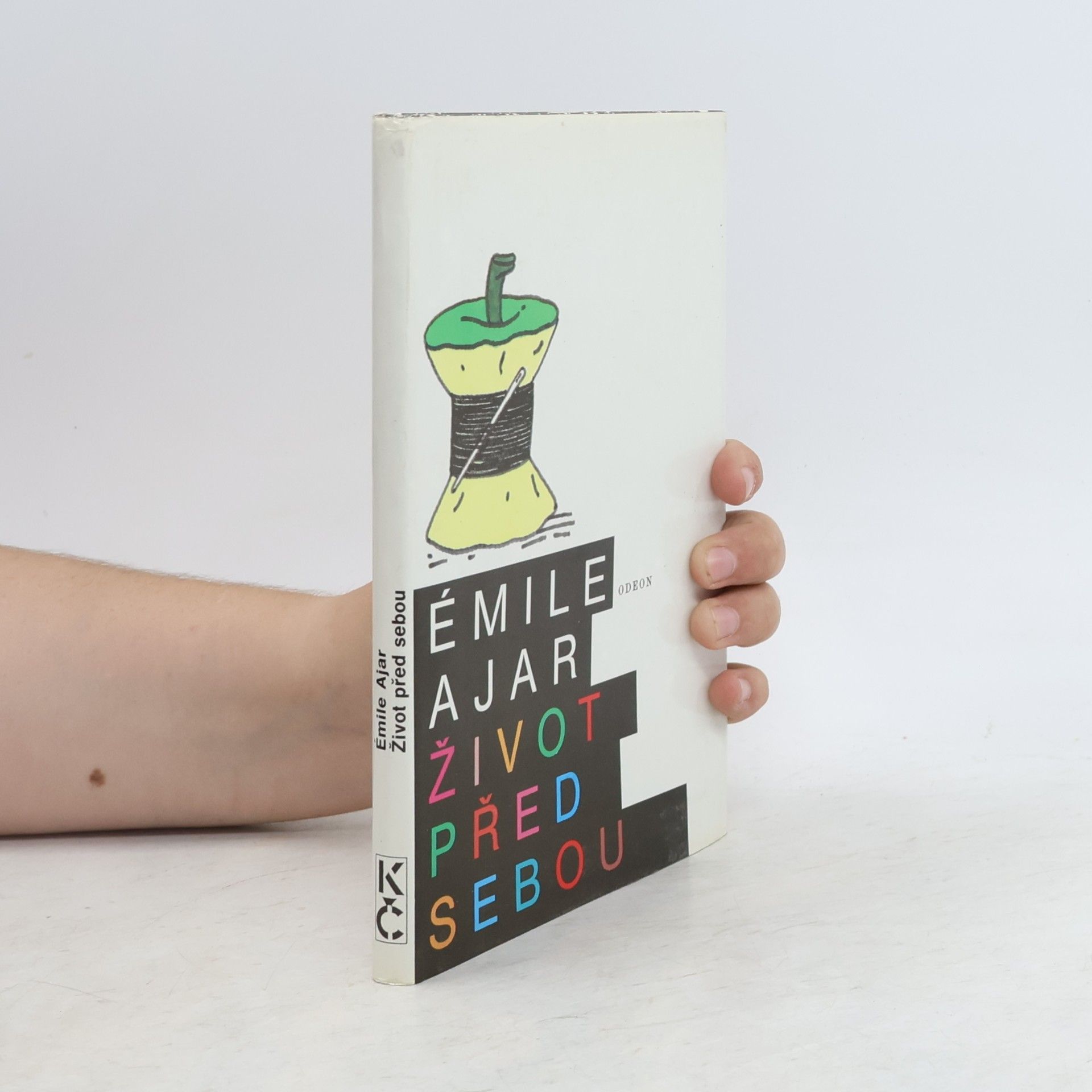 Romain Gary Život před sebou