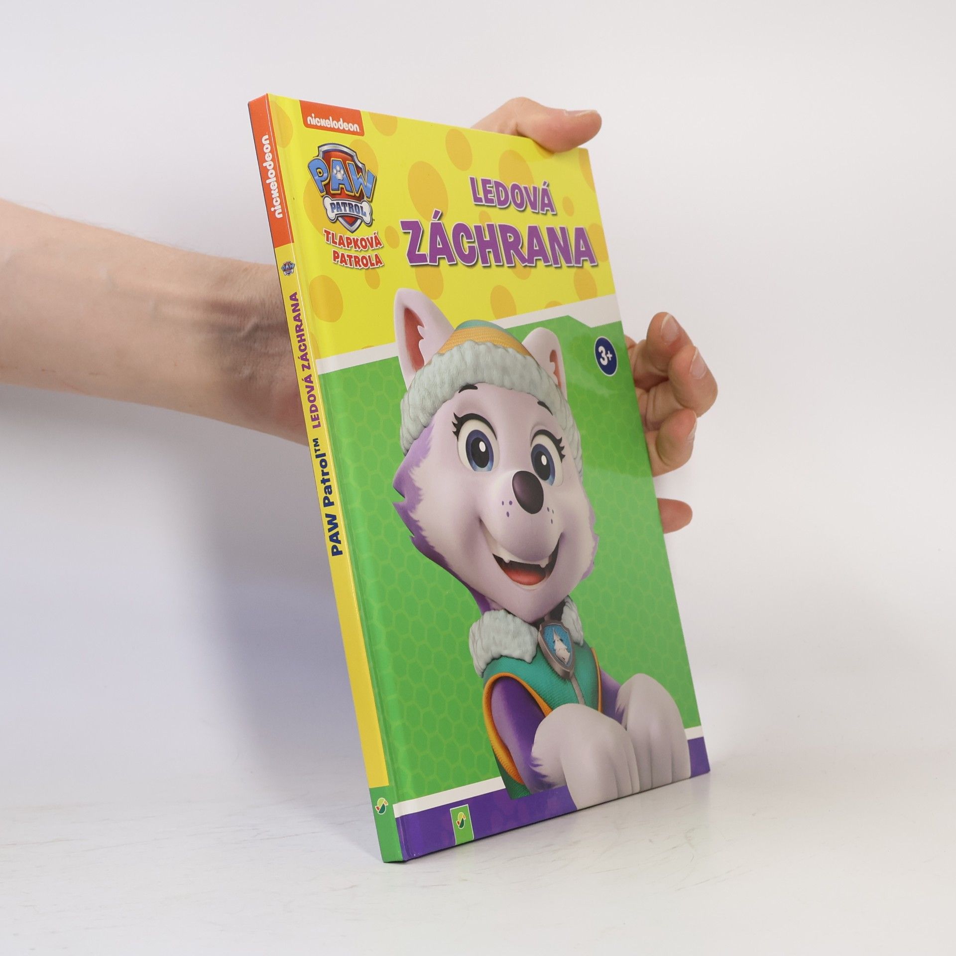 Kolektív autorov Tlapková patrola. Ledová záchrana
