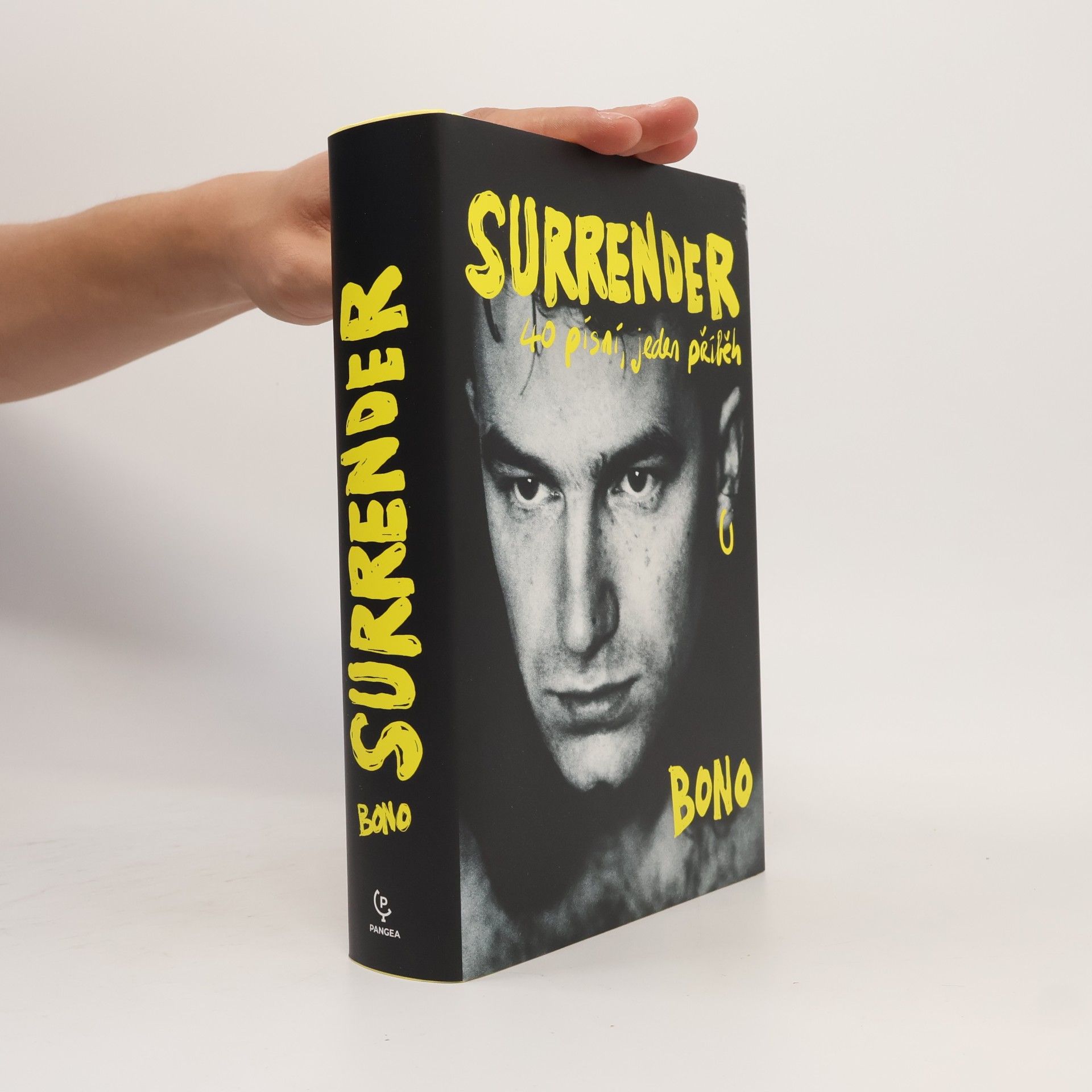 Bono Surrender : 40 písní, jeden příběh