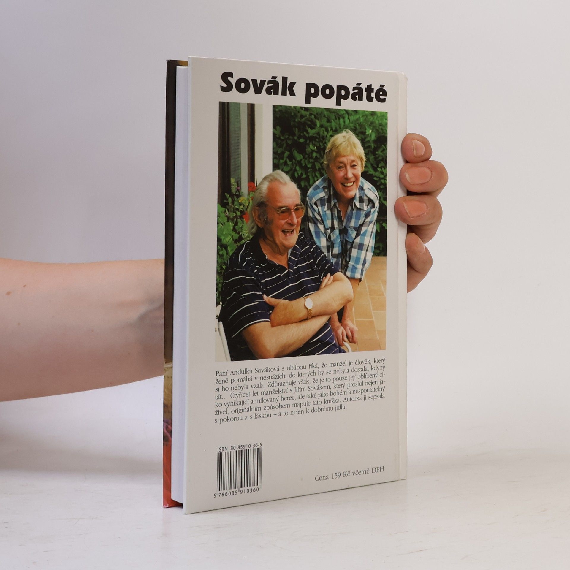 Anna Sováková Sovák popáté. Život se Sovákem, aneb, Uragán