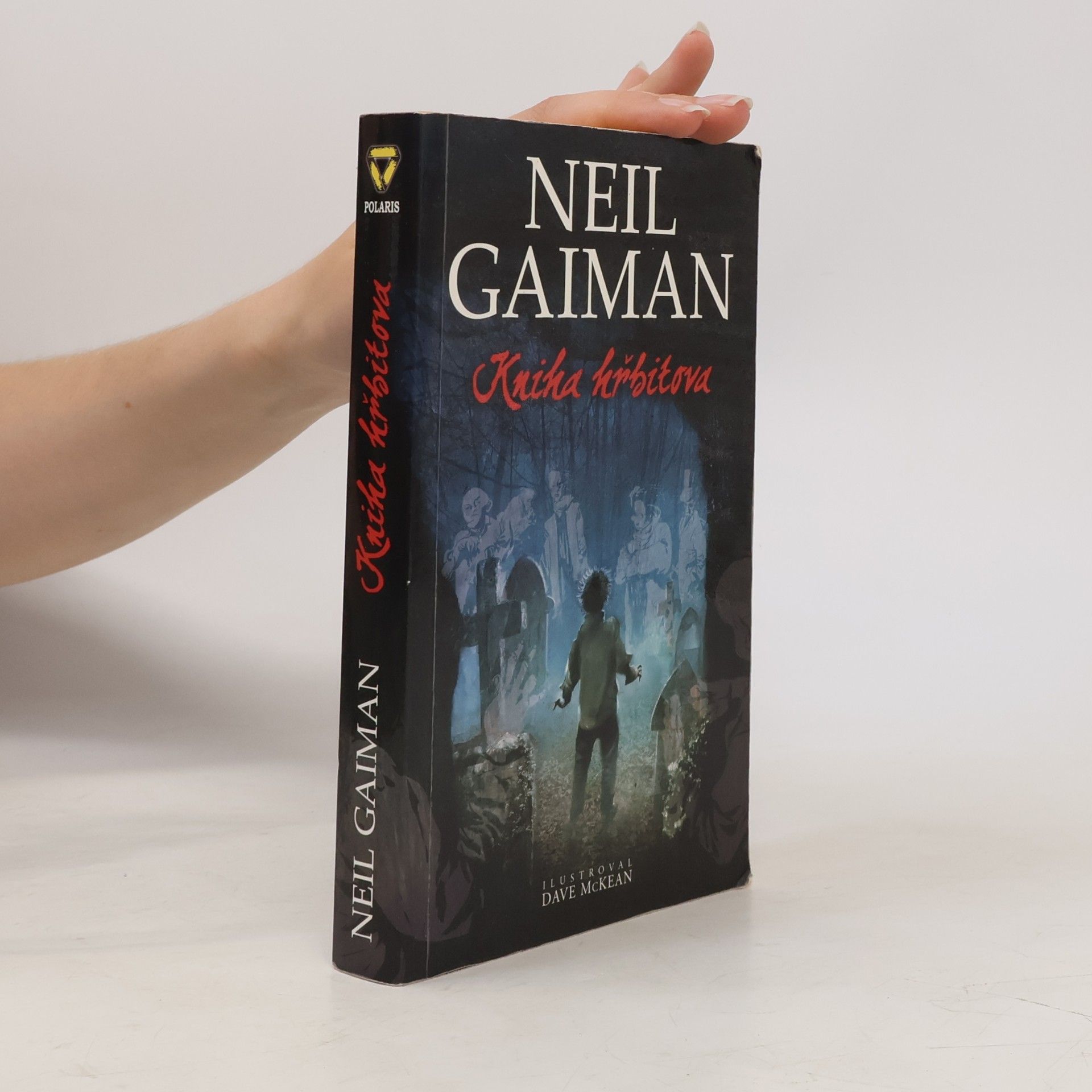 Neil Gaiman Kniha hřbitova