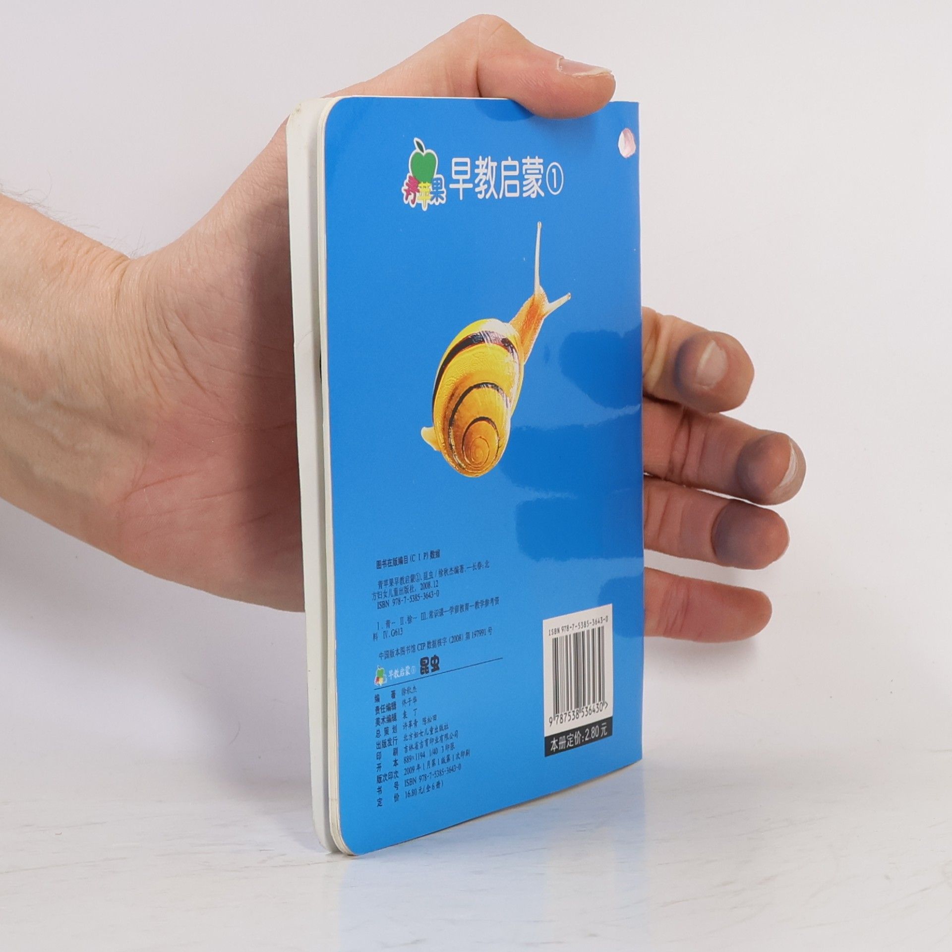 徐秋杰 昆虫①