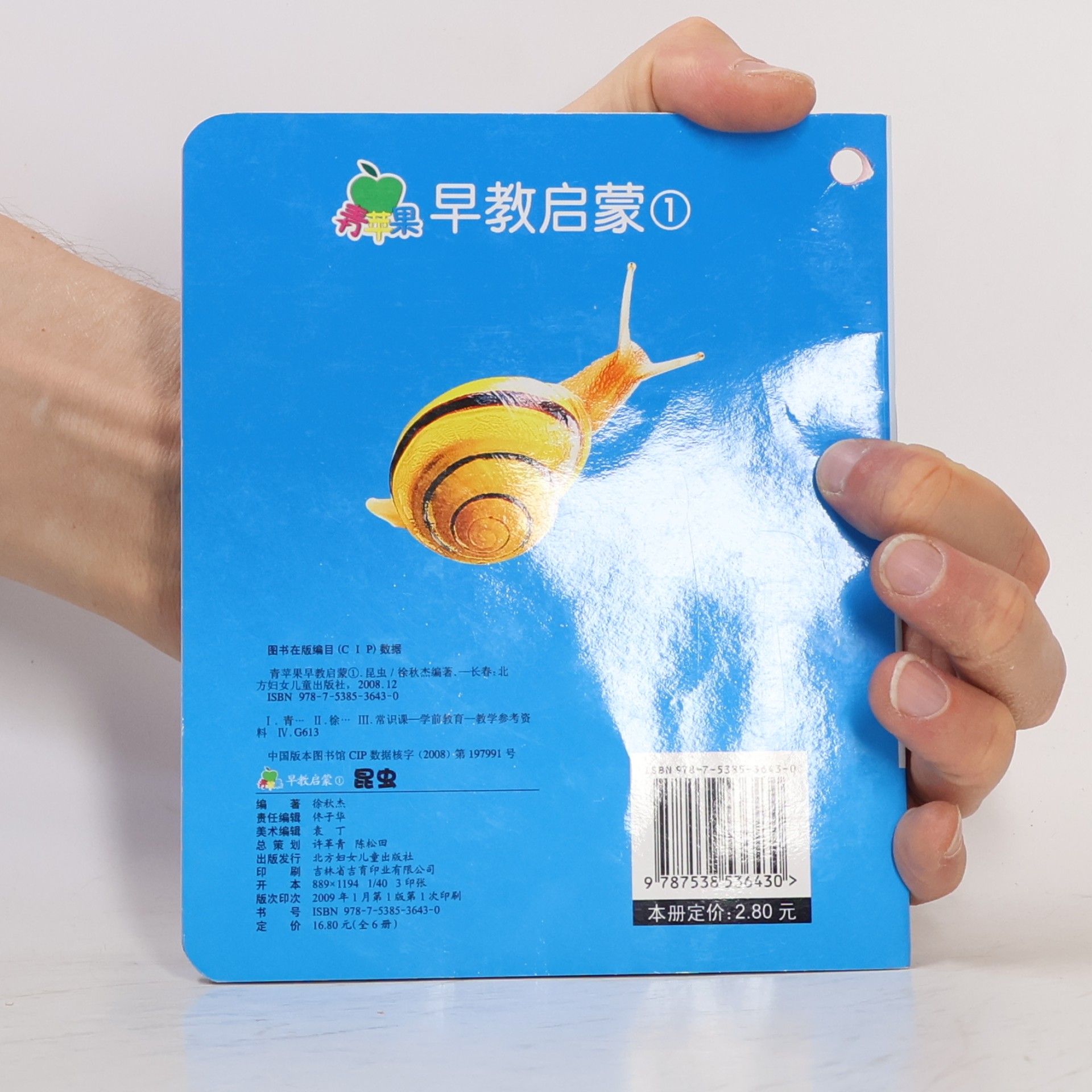 徐秋杰 昆虫①