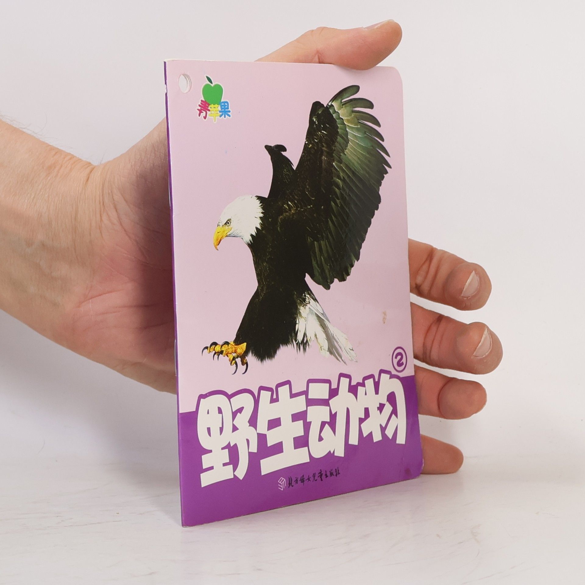 徐秋杰 野生动物 2