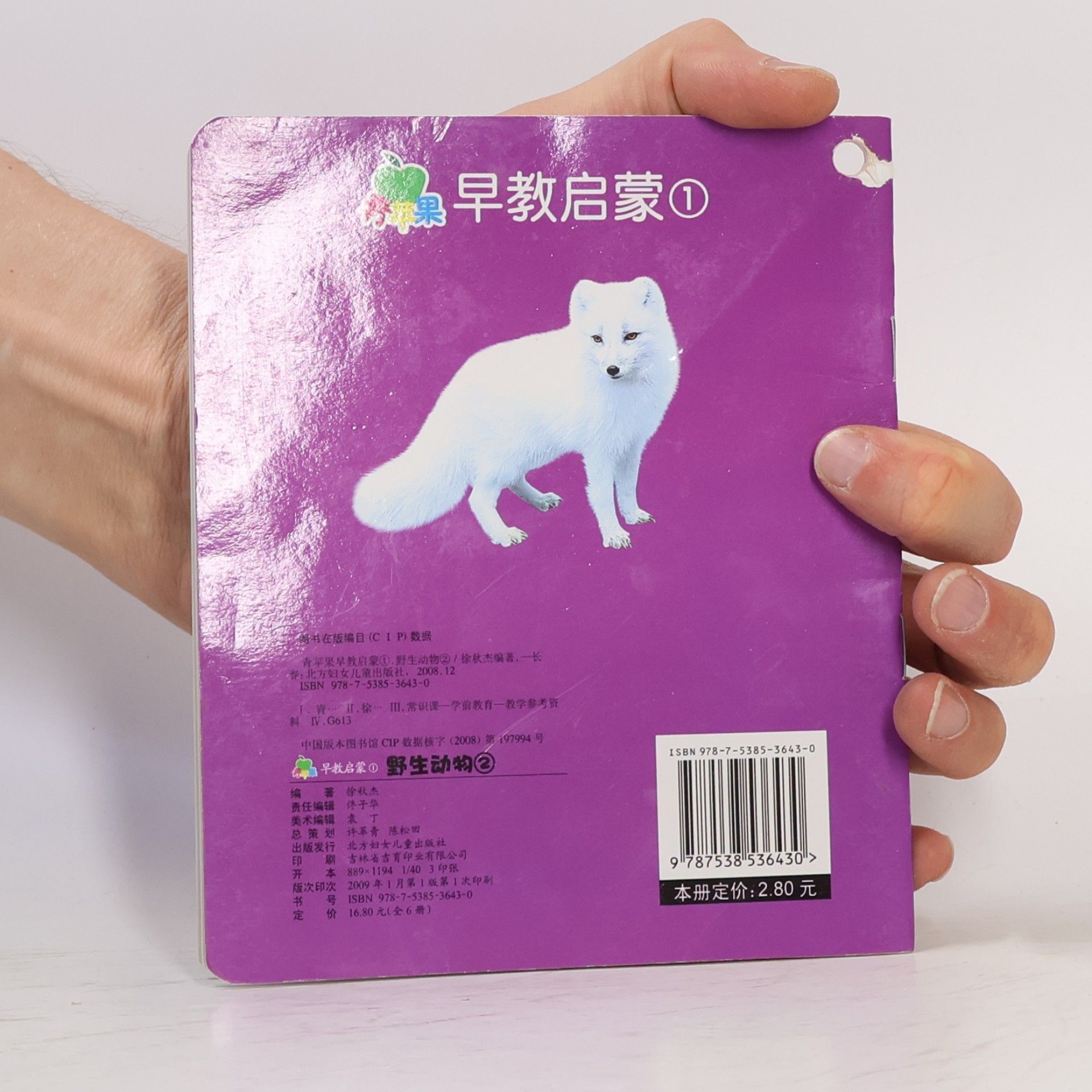 徐秋杰 野生动物 2