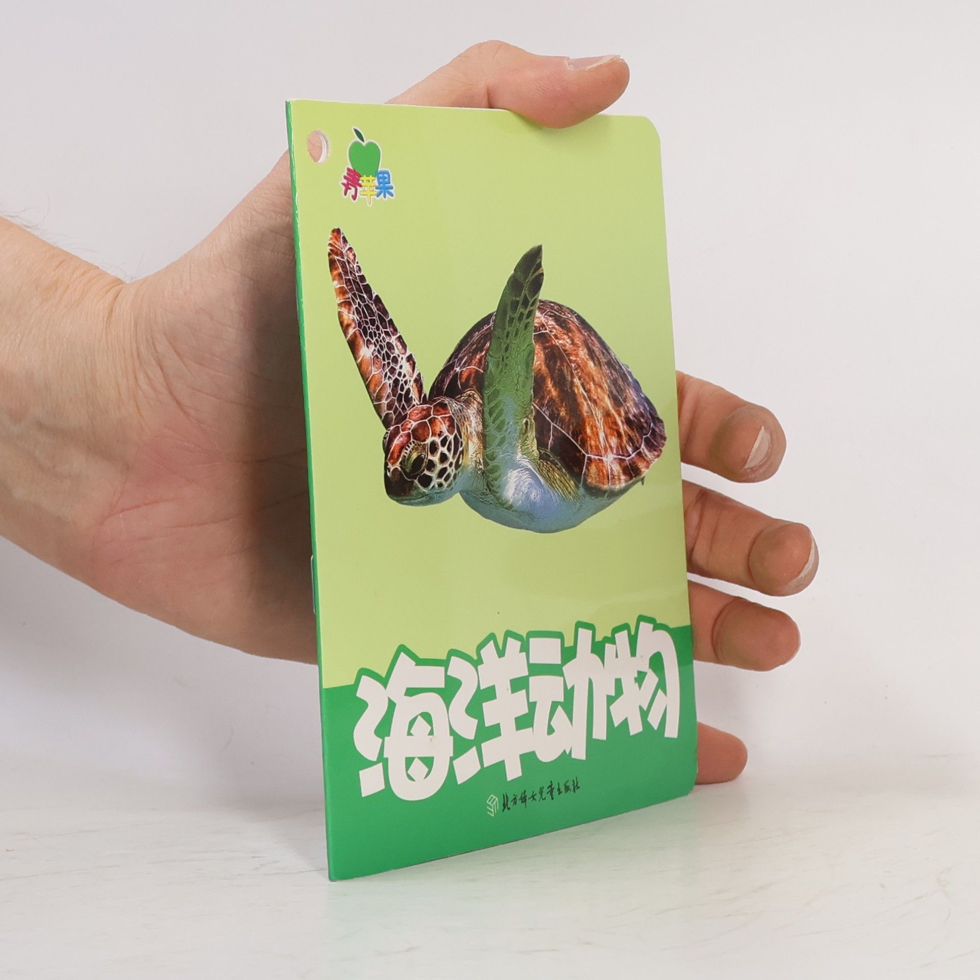 徐秋杰 海洋动物 ①
