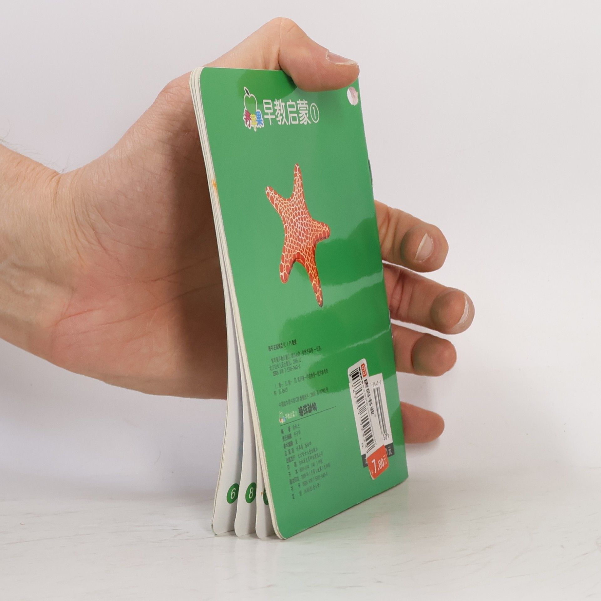 徐秋杰 海洋动物 ①