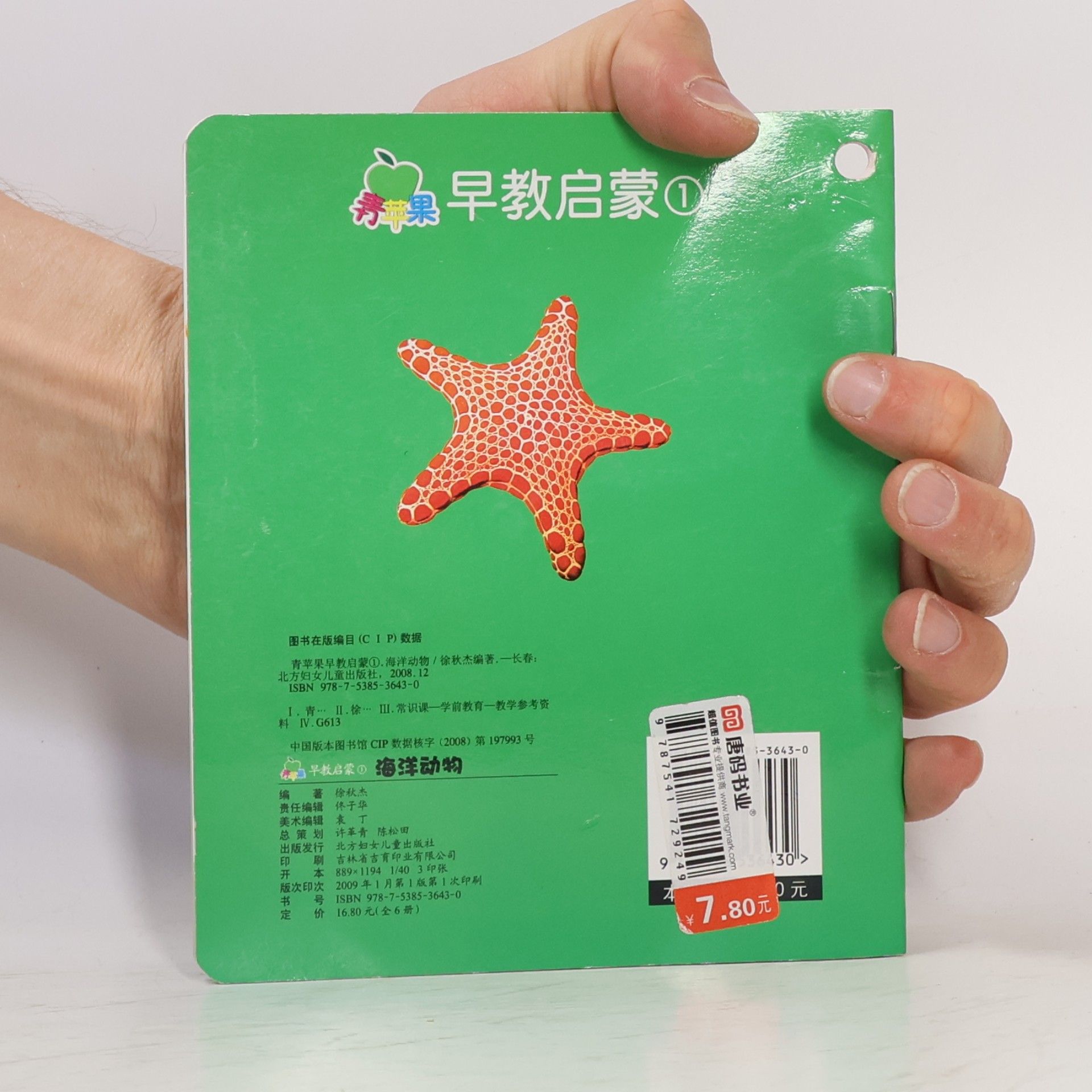 徐秋杰 海洋动物 ①
