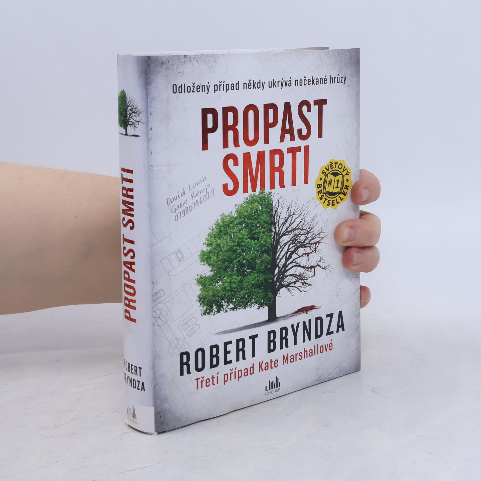 Robert Bryndza Propast smrti