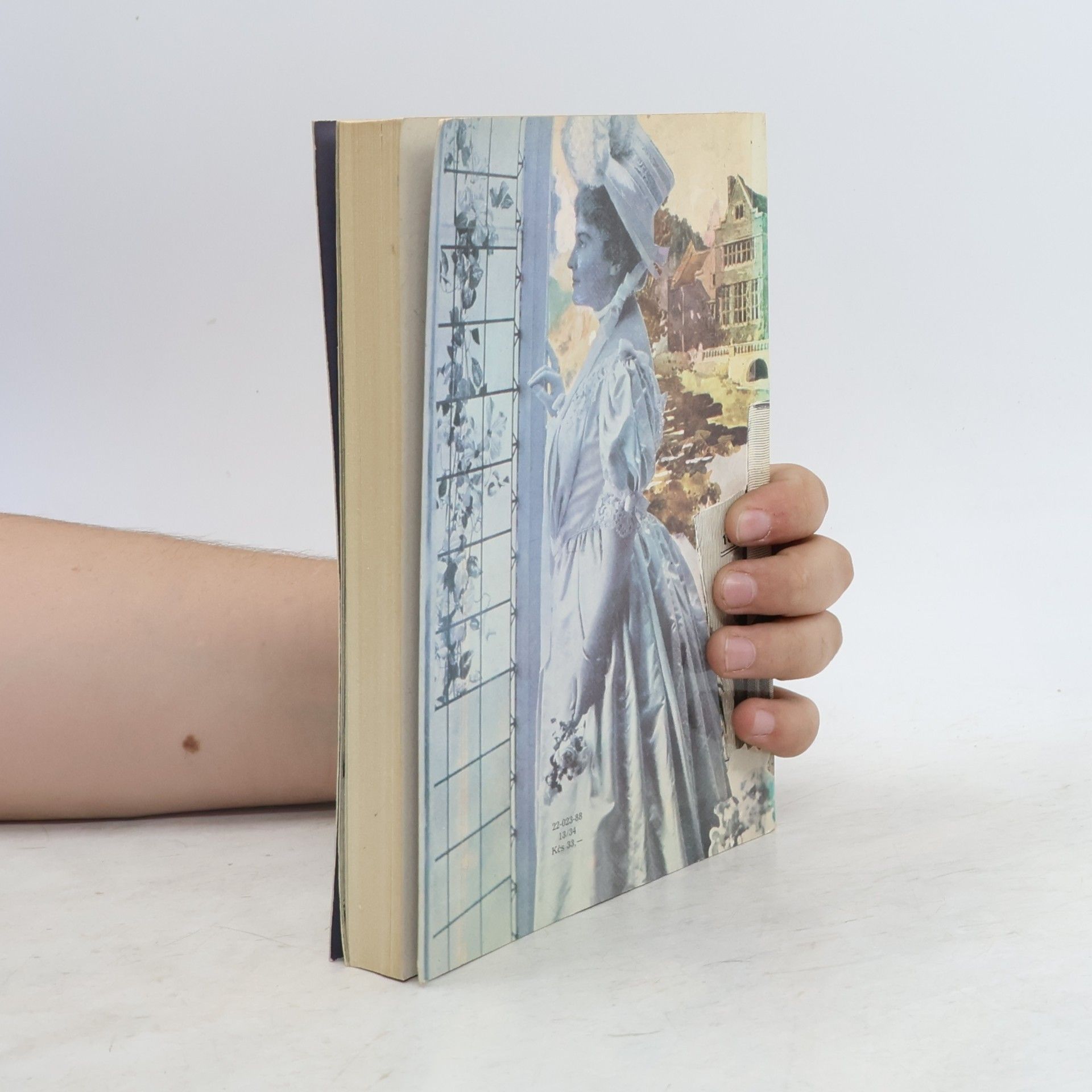 Ngaio Marsh Poslední opona