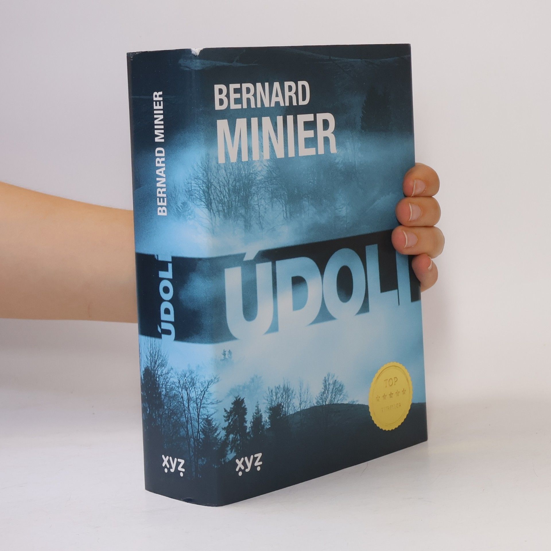 Bernard Minier Údolí