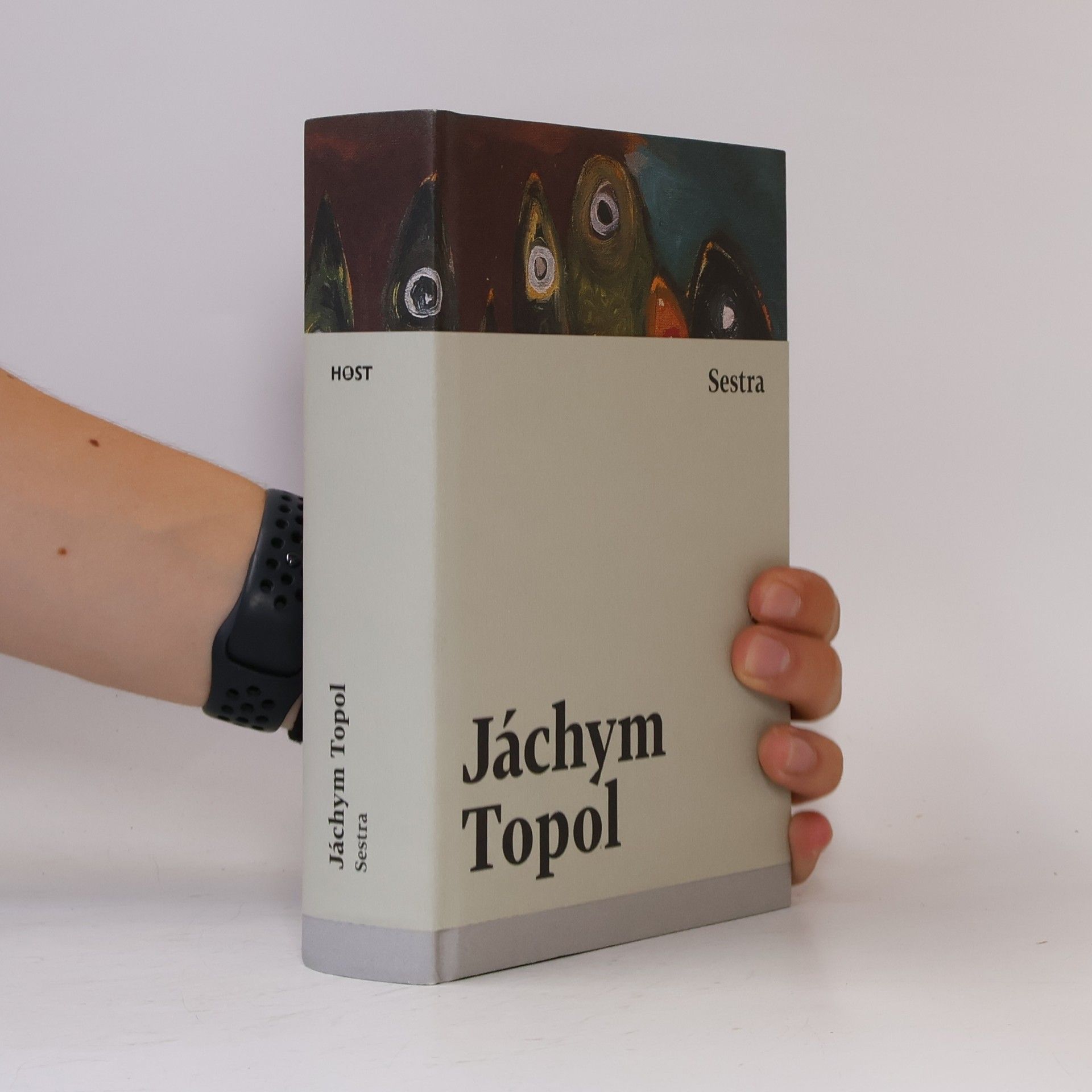 Jáchym Topol Sestra